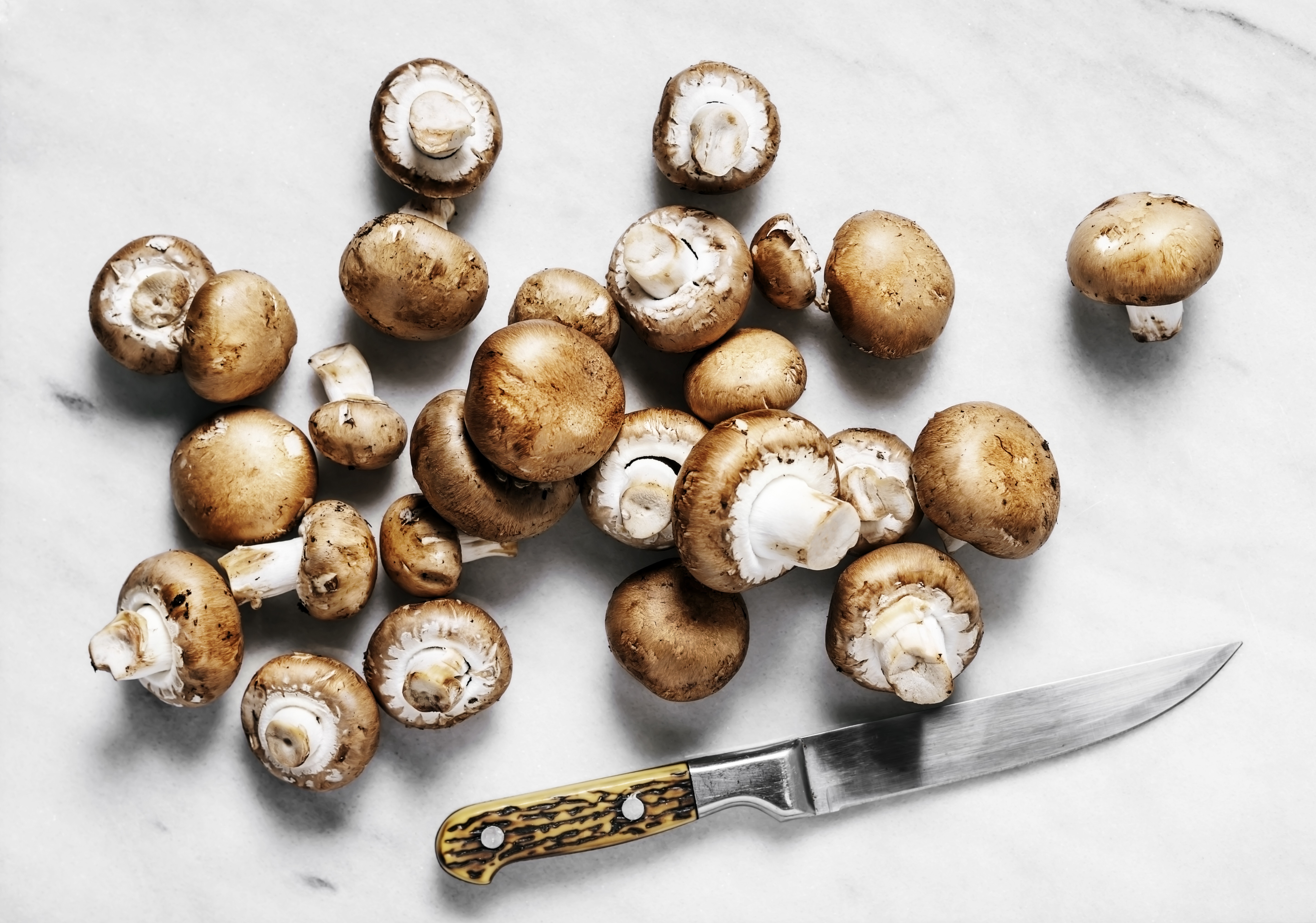 Mushrooms are nutritious and versatile. Photo / Getty Images