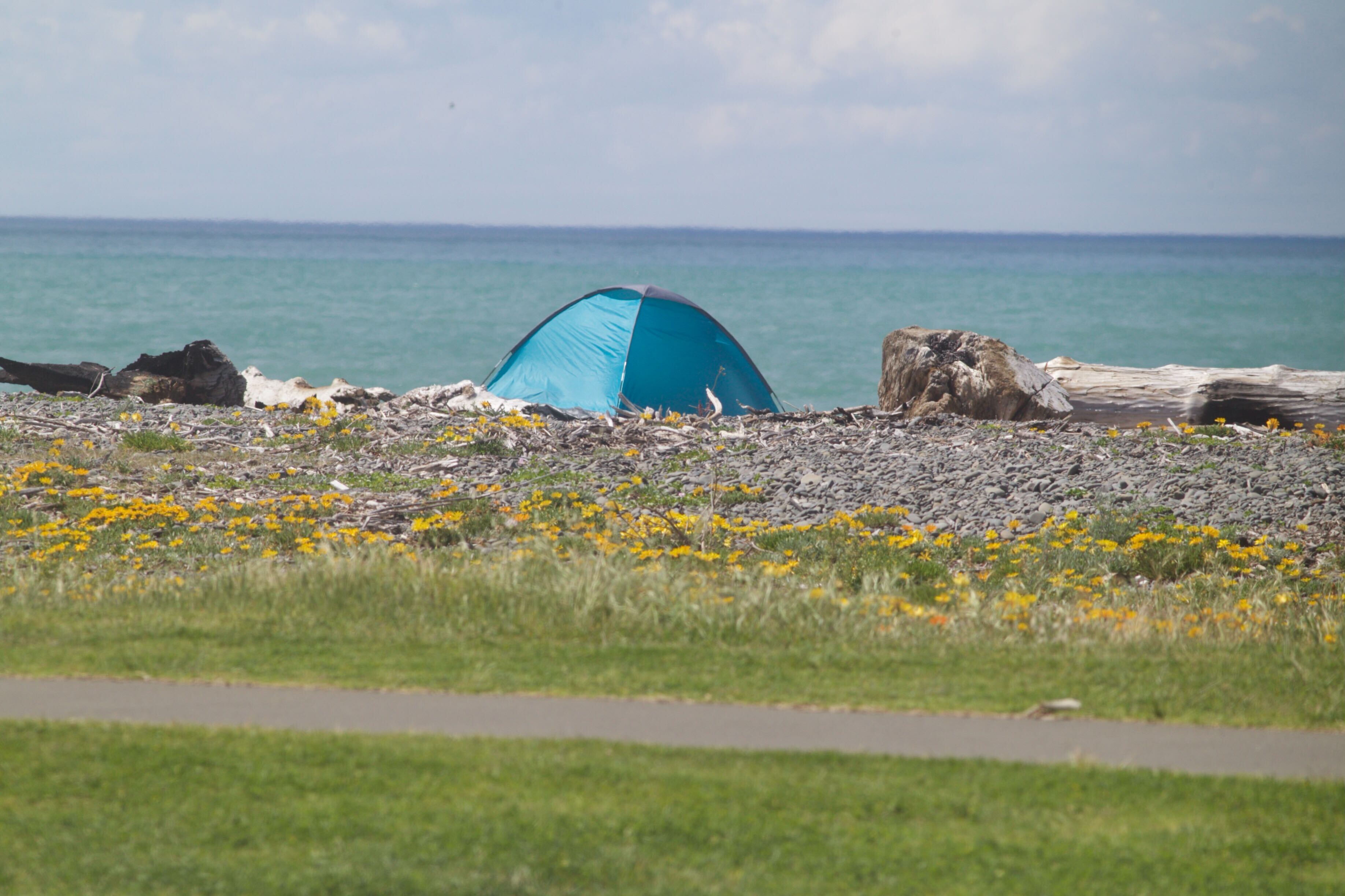 A solo tent on the Napier shoreline. A recent survey revealed 37 people around Napier reserves identified as homeless.