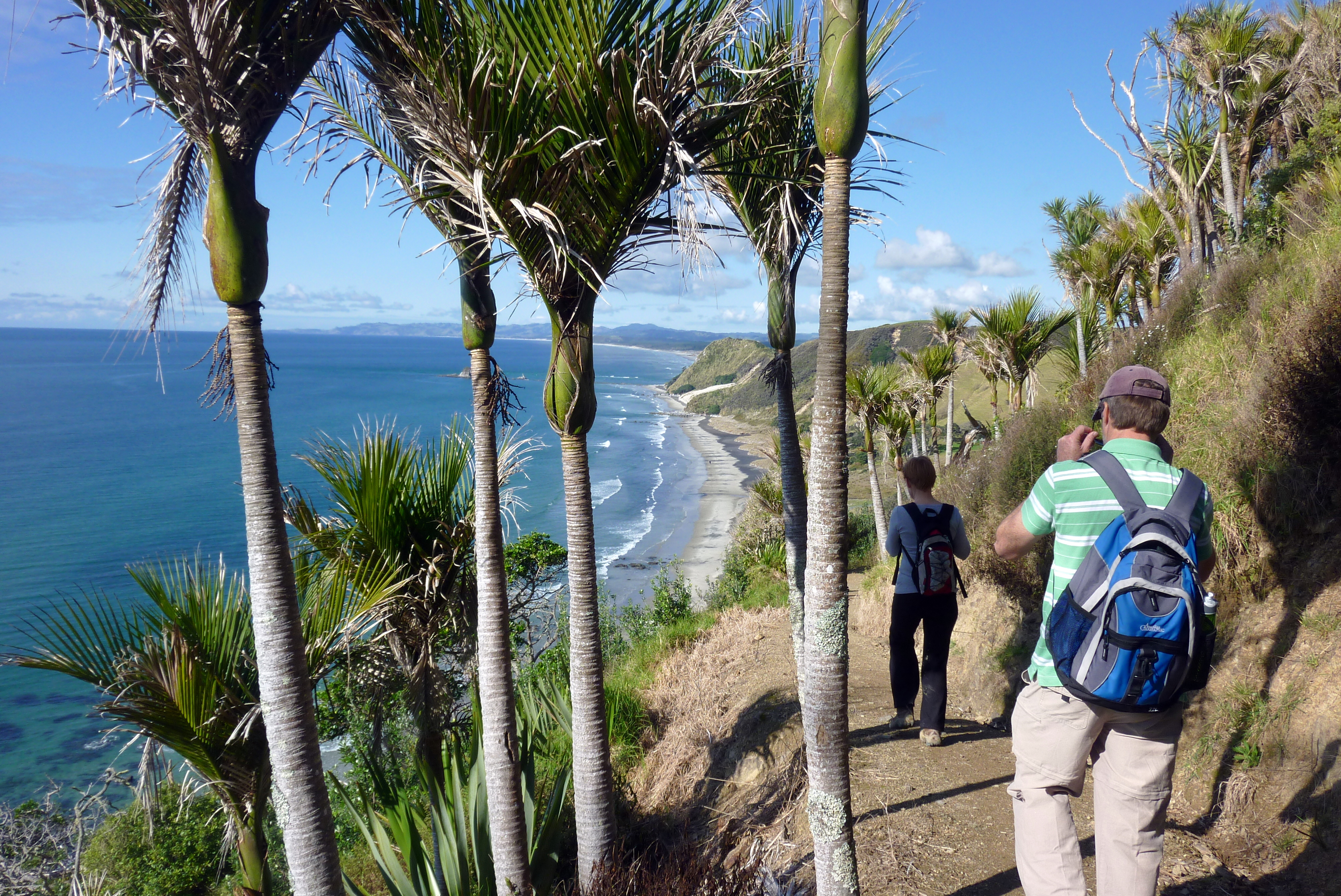 The Te Araroa and DoC cliff top walks along to Mangawhai Heads. Photo / Supplied