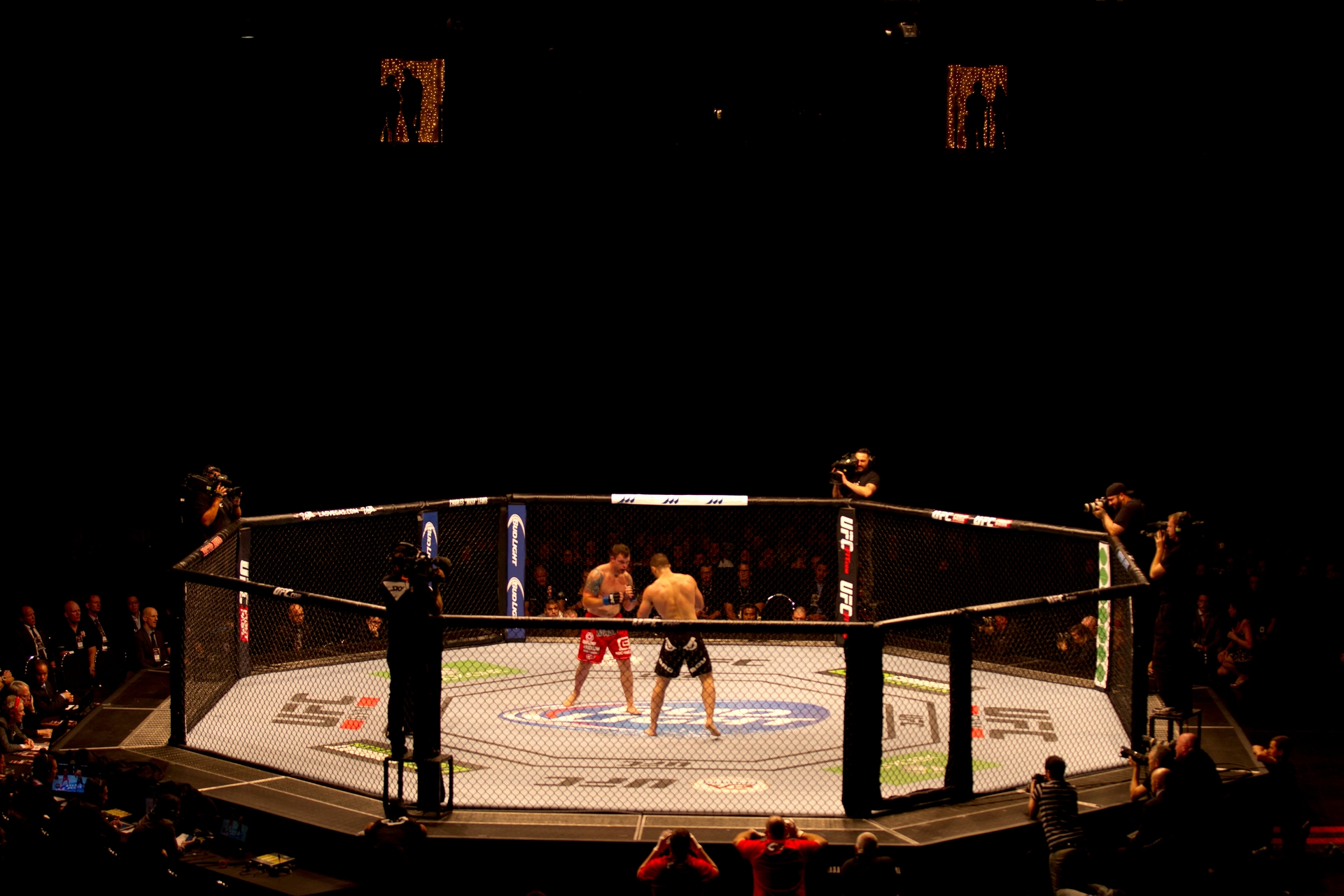 ZUFFA REGISTERS 3D OCTAGON-SHAPED CAGE DESIGN IN CONNECTION WITH ULTIMATE  FIGHTING CHAMPIONSHIP ARENA | ntmblog