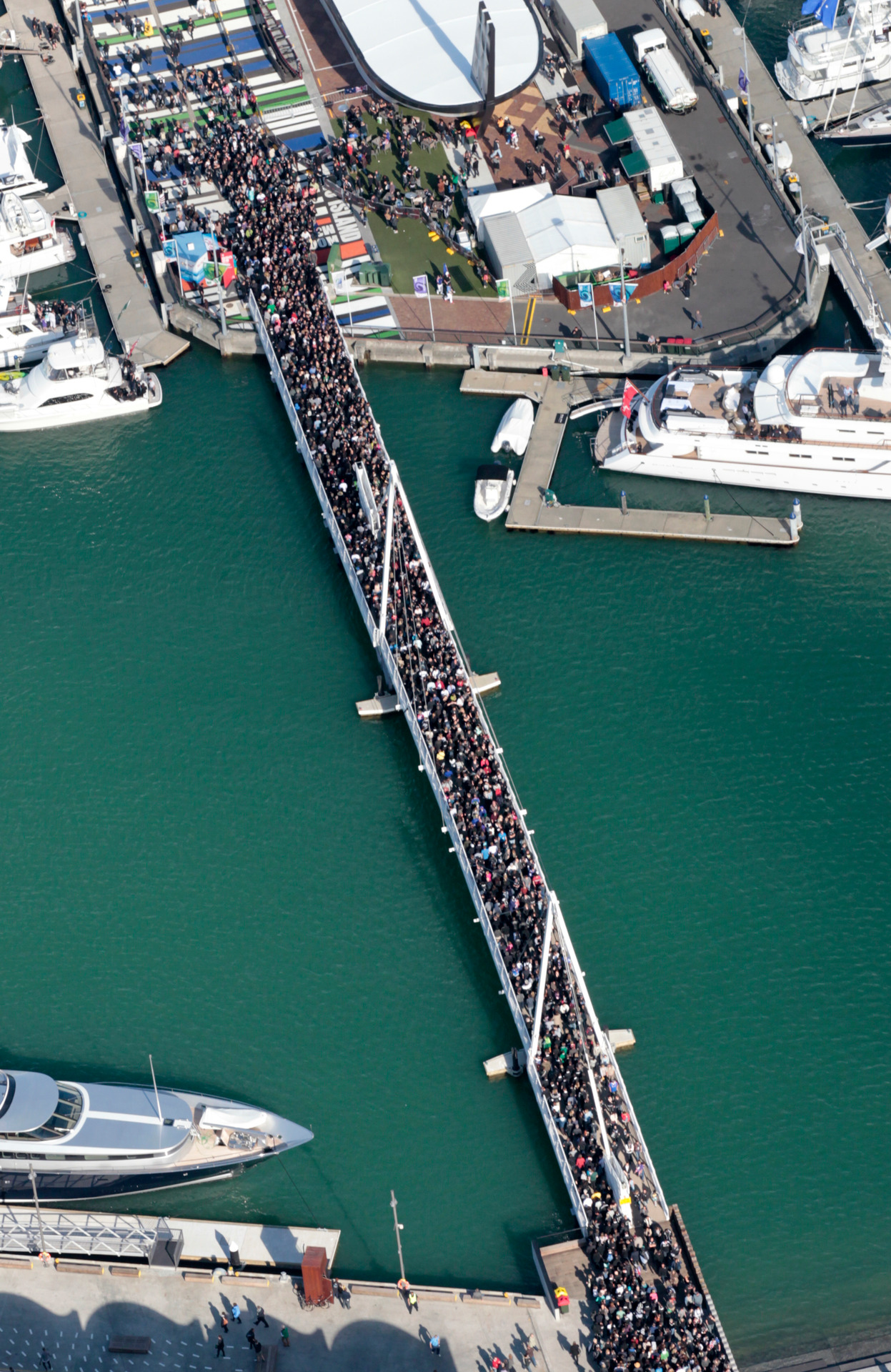 Party central on the bridge in 2011: Photo / Natalie Slade 