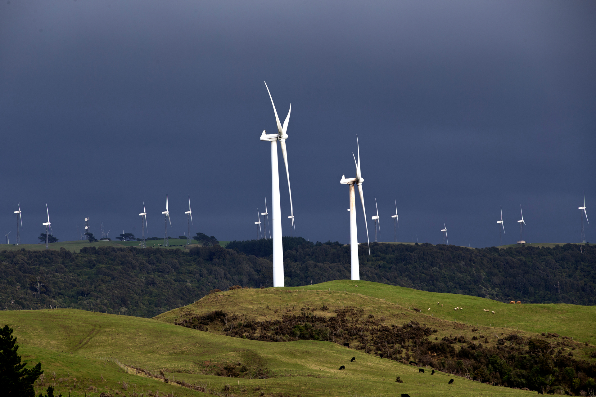Multiple generators – from wind to geothermal – already compete to produce electricity in New Zealand’s market. Photo / Mark Mitchell

