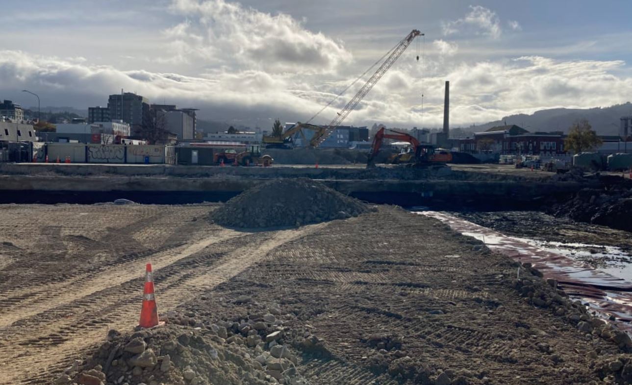 Dunedin's new hospital (pictured) is delayed. Photo / Te Whatu Ora