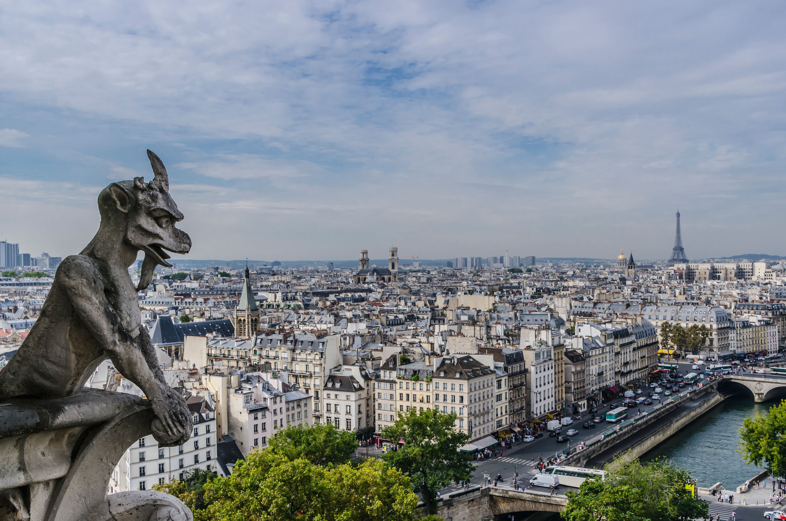 See Paris from the point of view of a gargoyle at the top of Notre Dame. Photo / 123RF