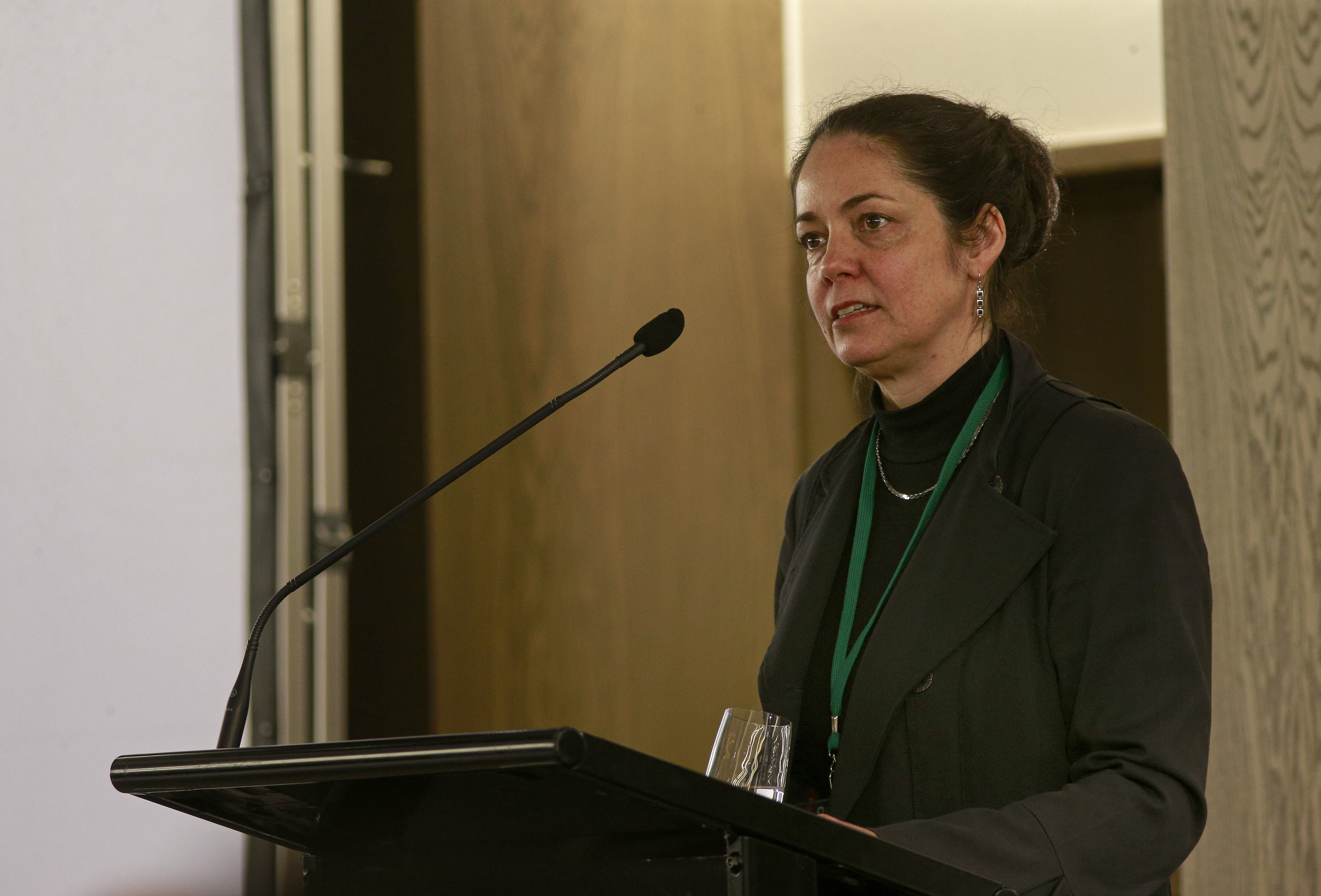 Cartriona Robinson, Asssociate Deputy Secretary for Immigration at MBIE. Photo / Alex Burton