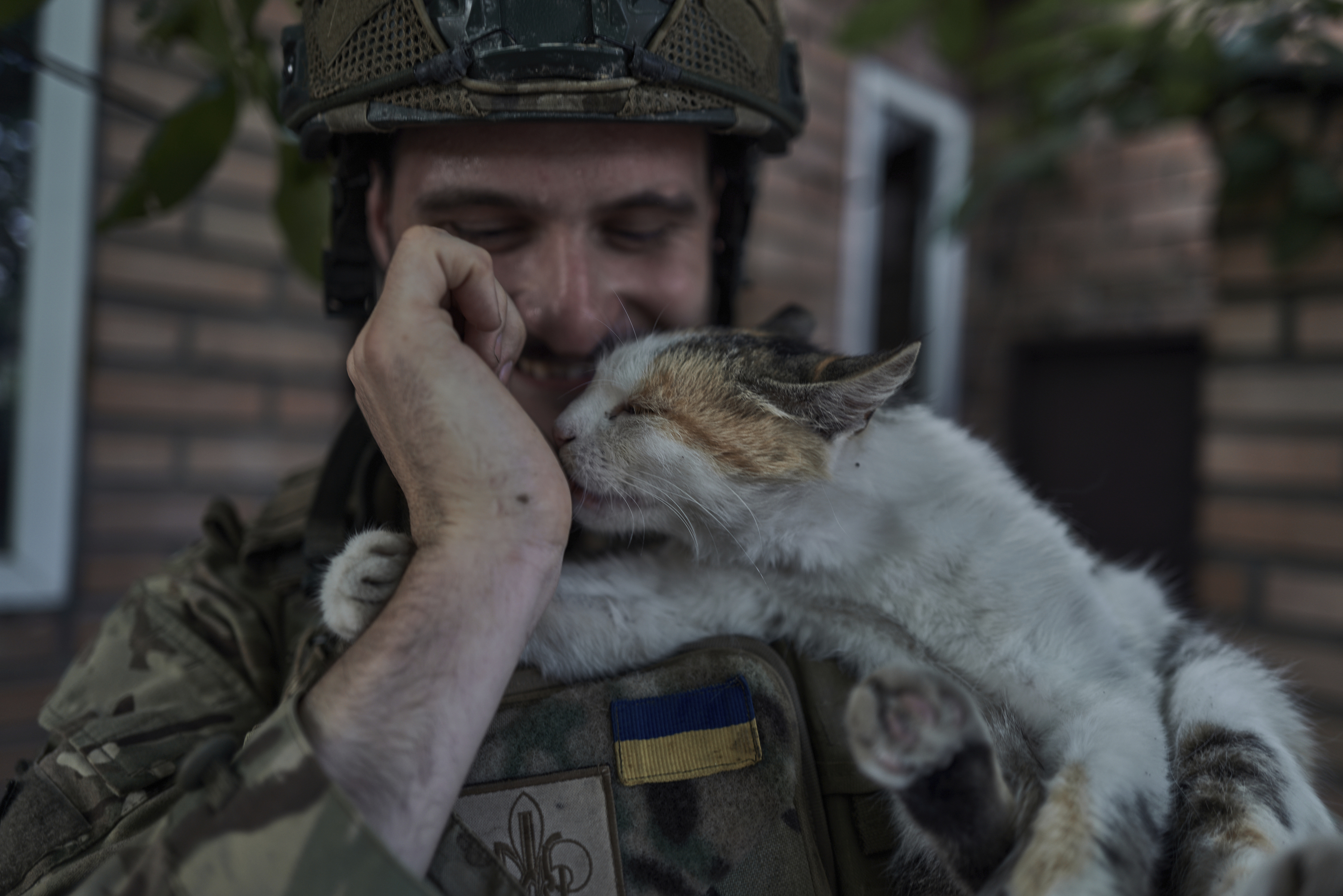 A Ukrainian policeman of the special police unit pets a cat at the front line, near Kreminna, Luhansk region, Ukraine. Photo / AP