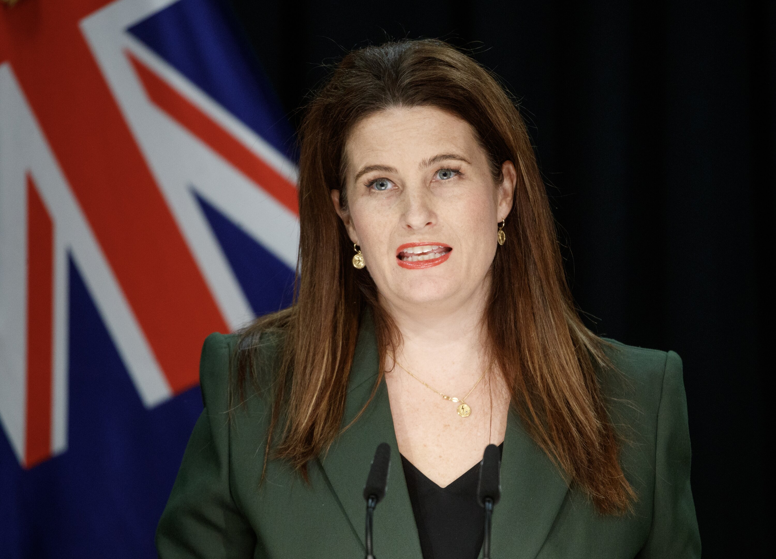 Public Service Minister Nicola Willis is happy with the speed of the inquiry. Photo / Mark Mitchell 