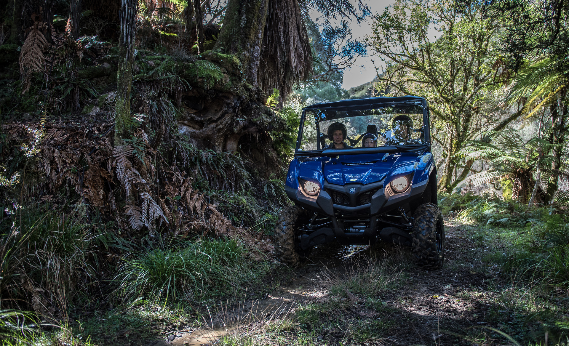 Good, clean fun: Retaruke Country Estate offers guests a chance to muck in with sheep mustering. Photo / Supplied