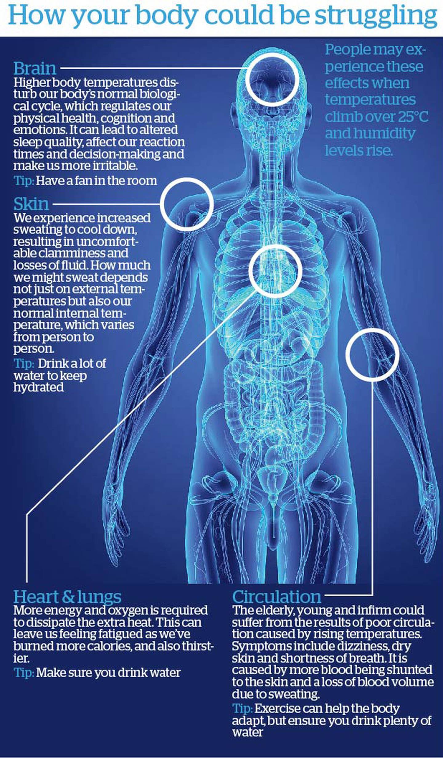 Source / Herald Graphic
