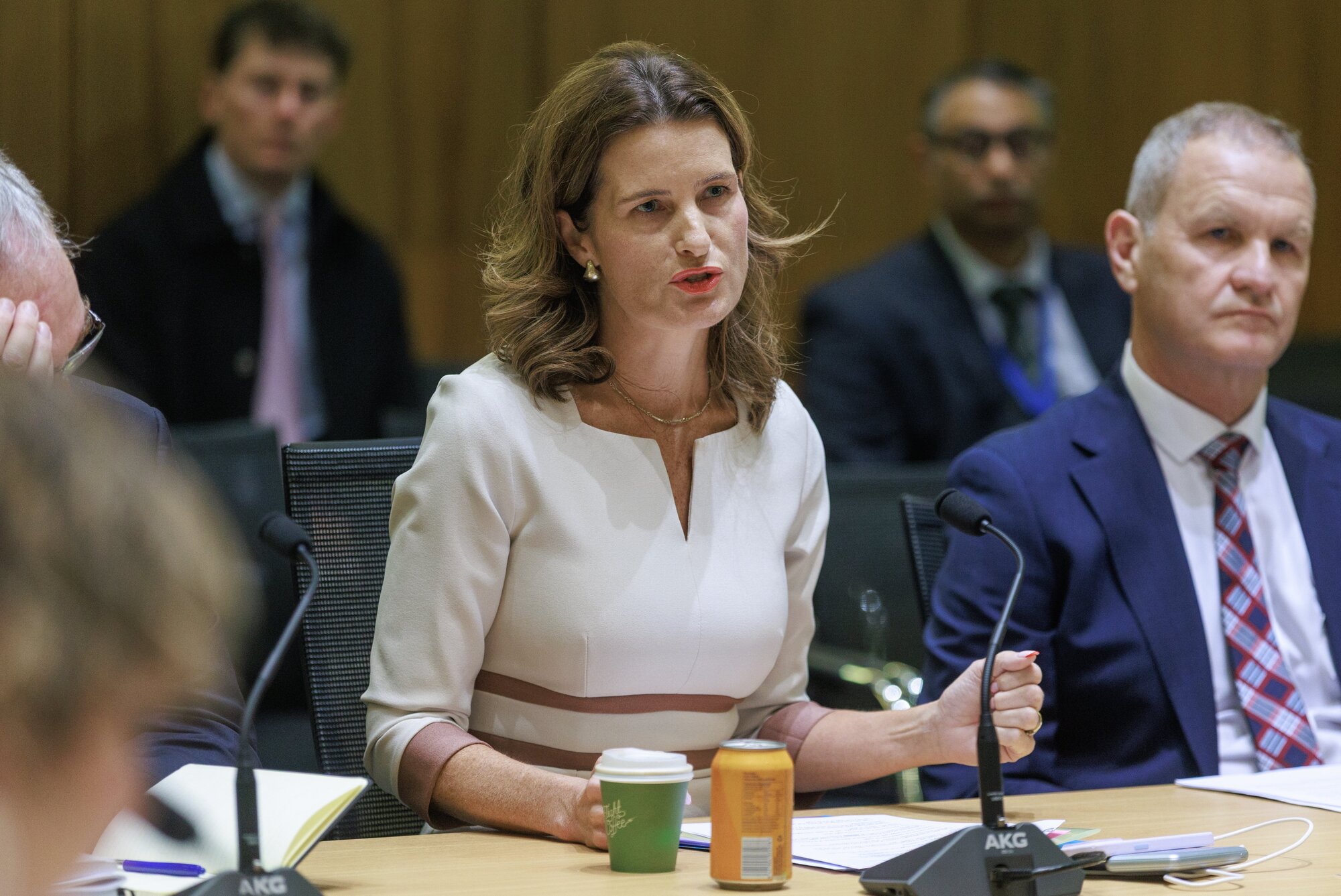 Finance Minister Nicola Willis says the latest data was a 'blip'. Photo / Mark Mitchell