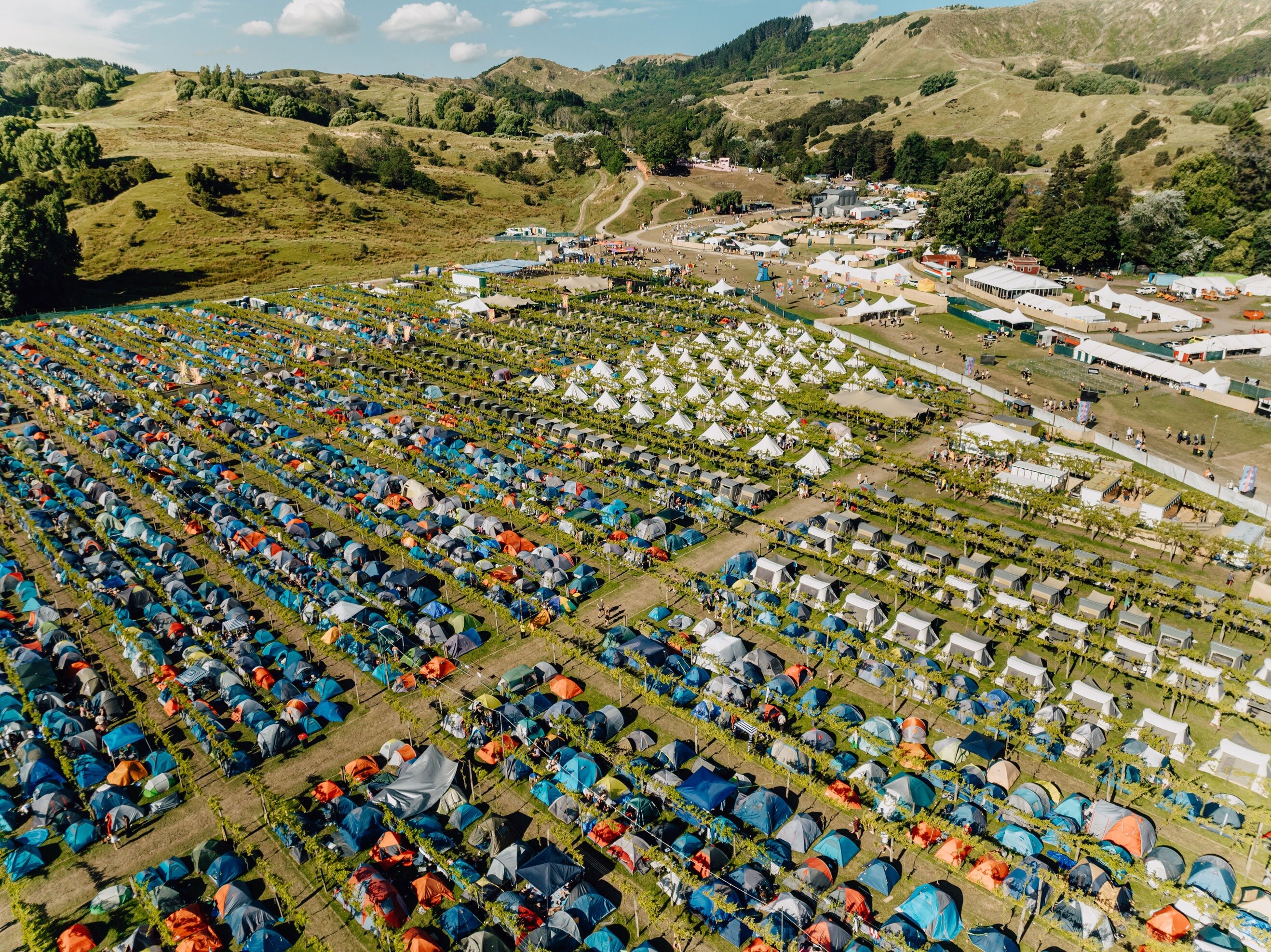 The camping set-up at Gisborne's New Year's music festival Rhythm and Vines at Waiohika Estate.