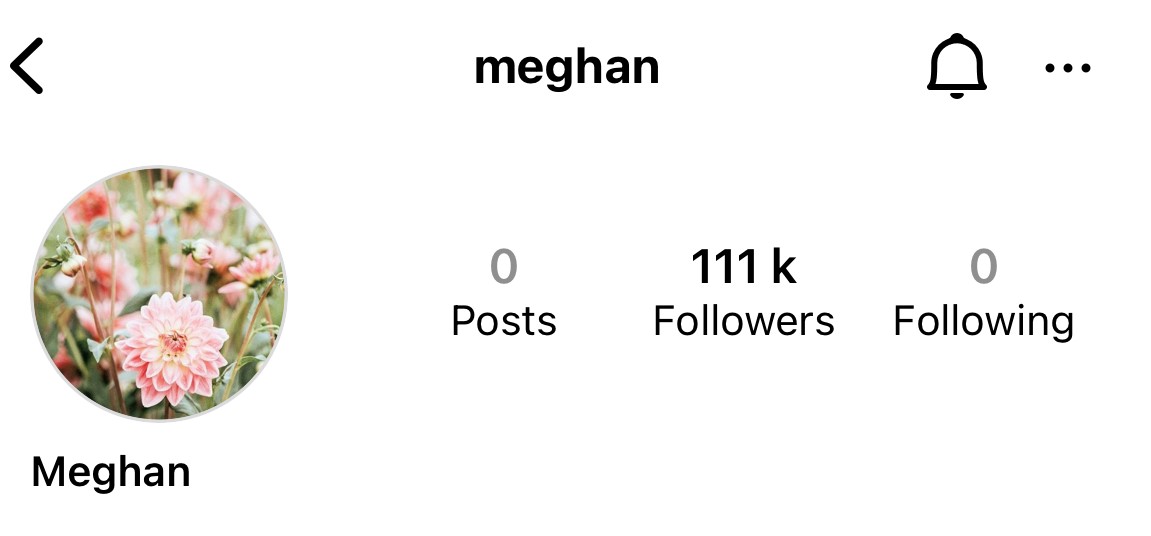 Meghan Markle's suspected new Instagram account has amassed 111,000 followers as of August 29, 2023. Photo / Instagram