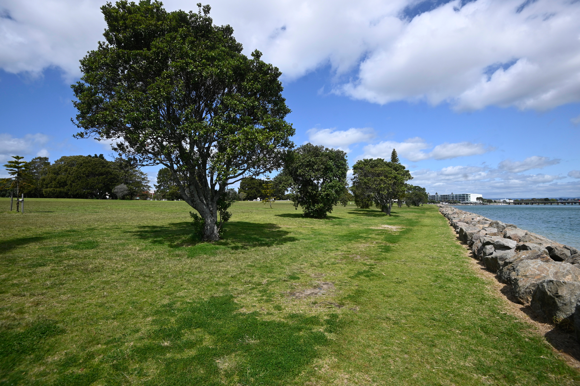 Marine Park - the site of a proposed marine research facility at Sulphur Point. Photo / File