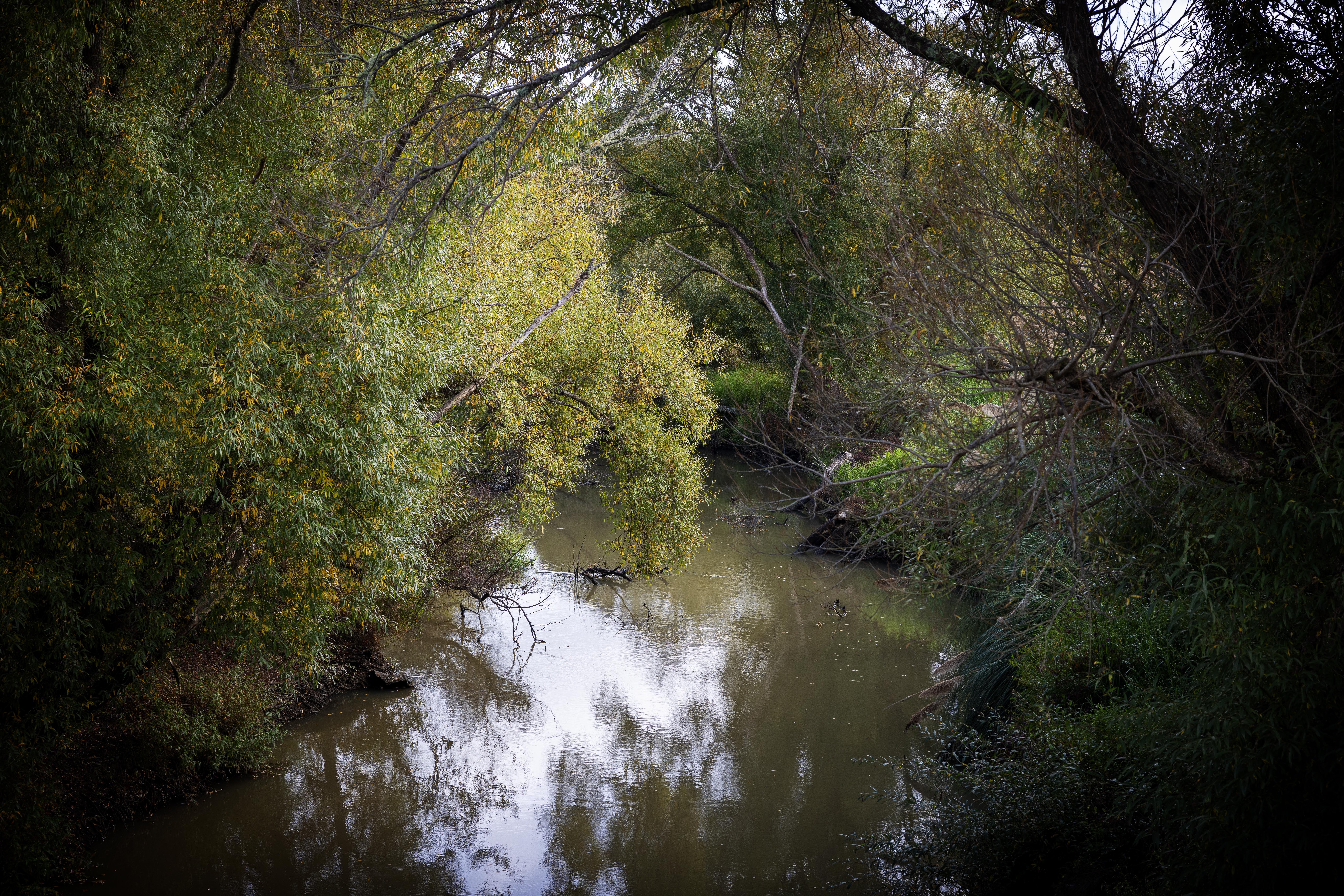 The Mangatāwhiri Stream was considered an 'aukati' - a line not to be crossed and the boundary between Kiingitanga and Crown lands. Photo / Mike Scott