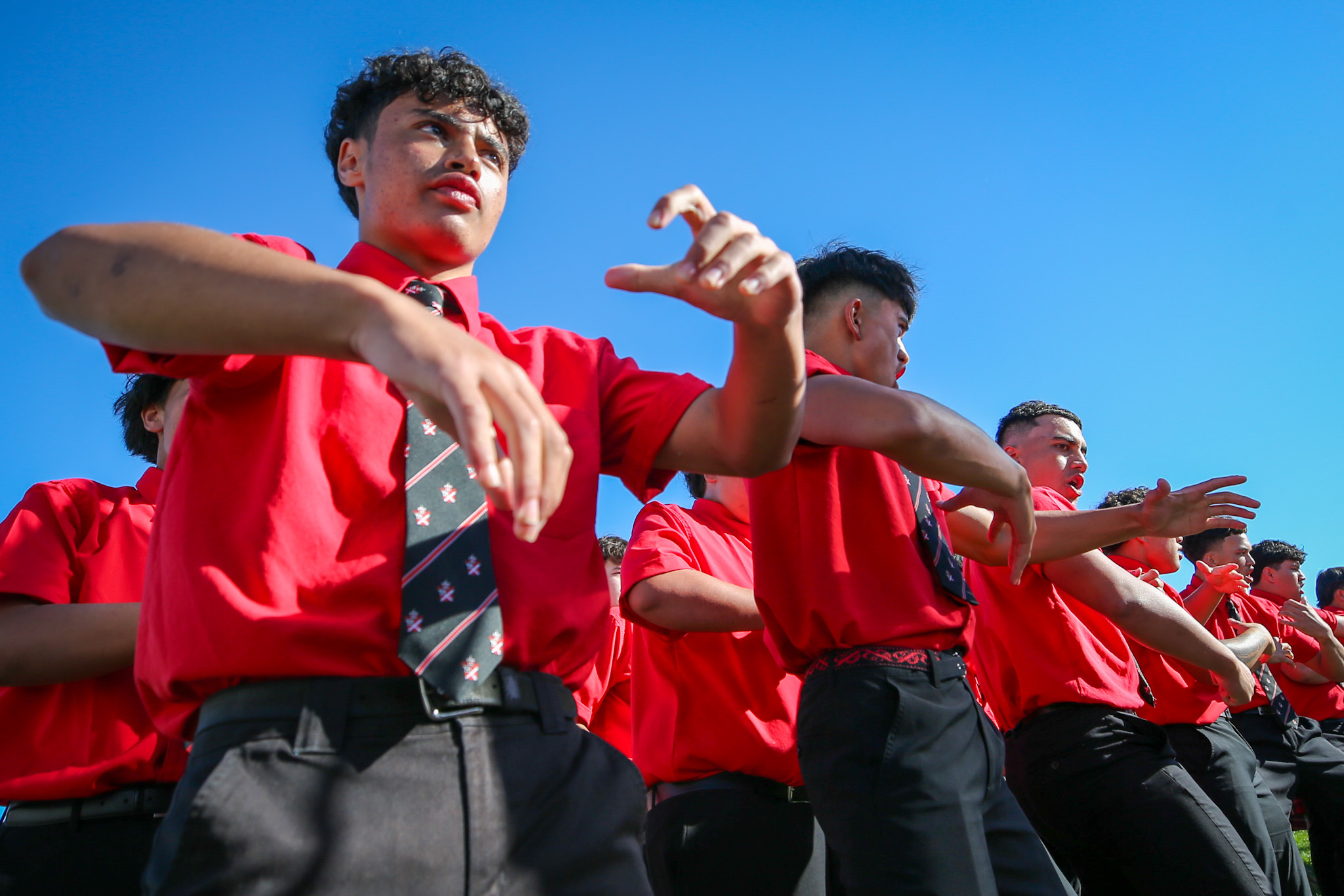 Te Aute College students perform a haka at the Waitangi Day event. Photo / Paul Taylor