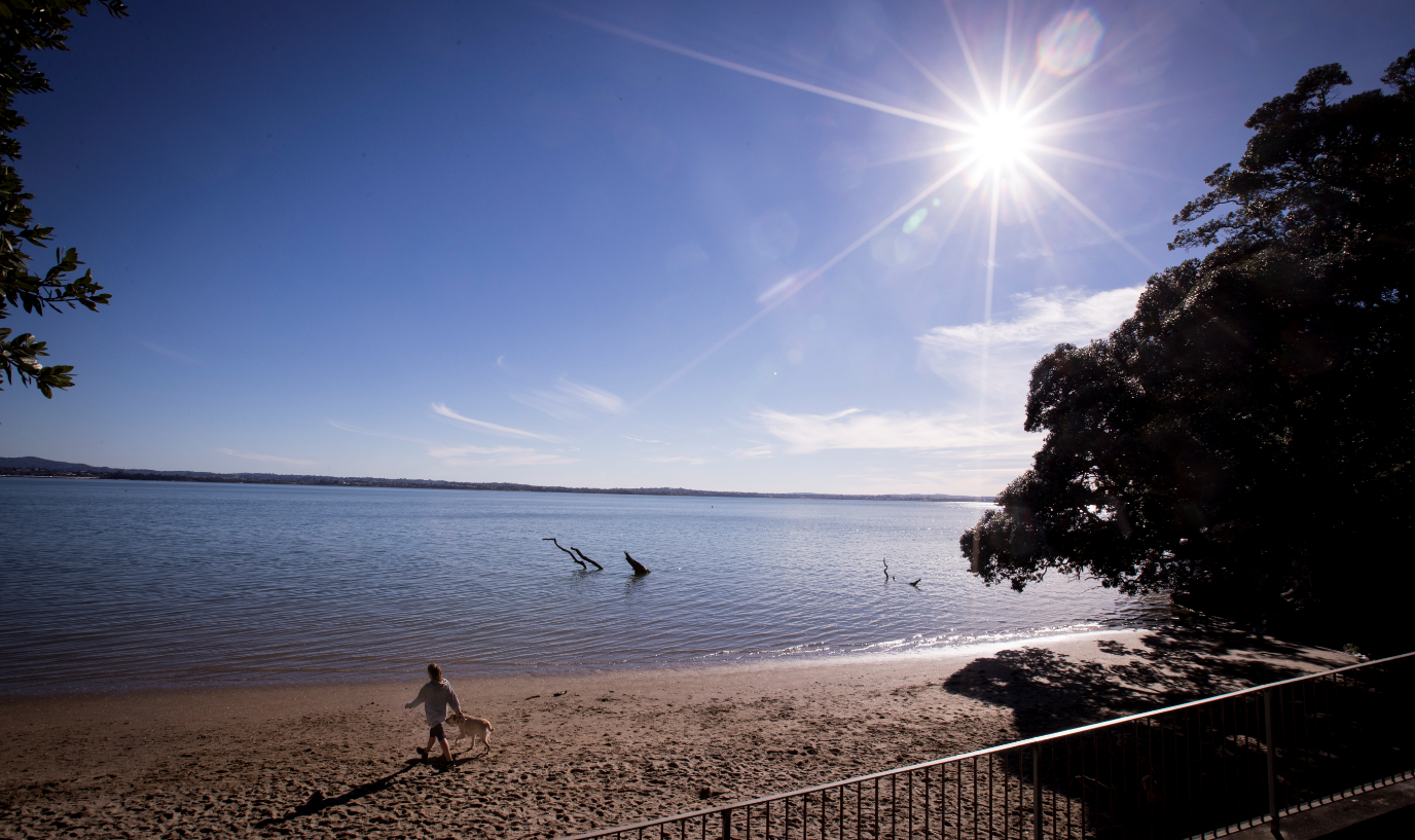 Popular Auckland inner-city beach, Point Chevalier. Photo / Dean Purcell