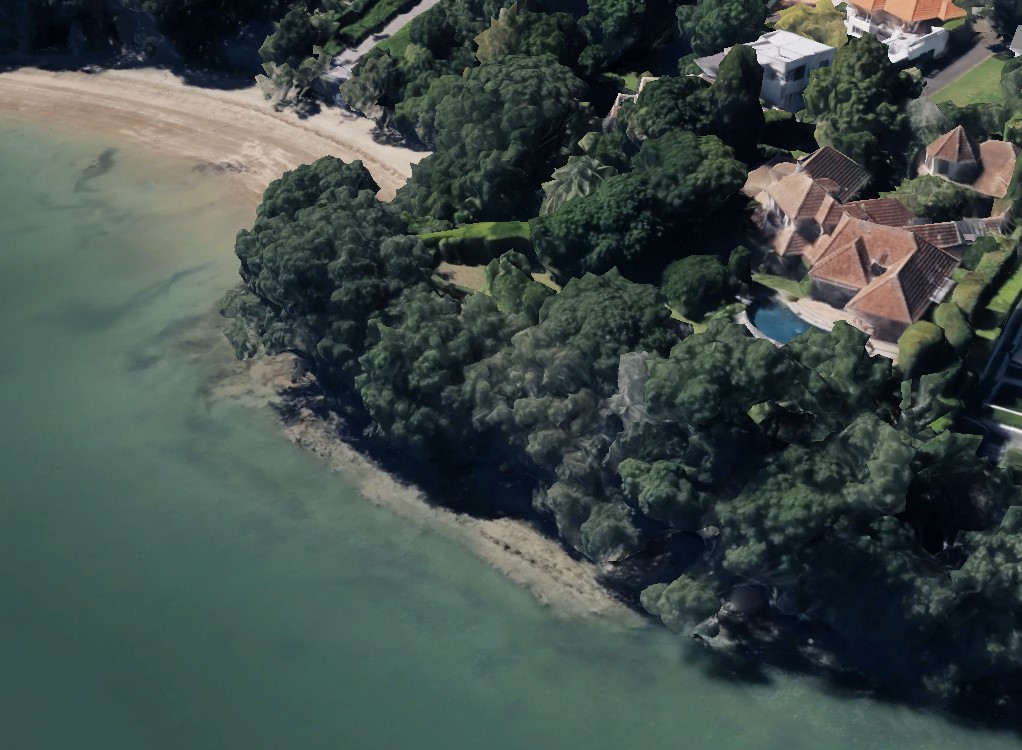 The house on a third of a hectare of a Herne Bay peninsula. Photo / Google Earth