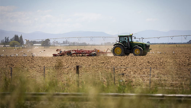 Federated Farmers' banking survey found 51 per cent of farmers were satisfied with their banks; down from 80 per cent in 2018. Photo / RNZ