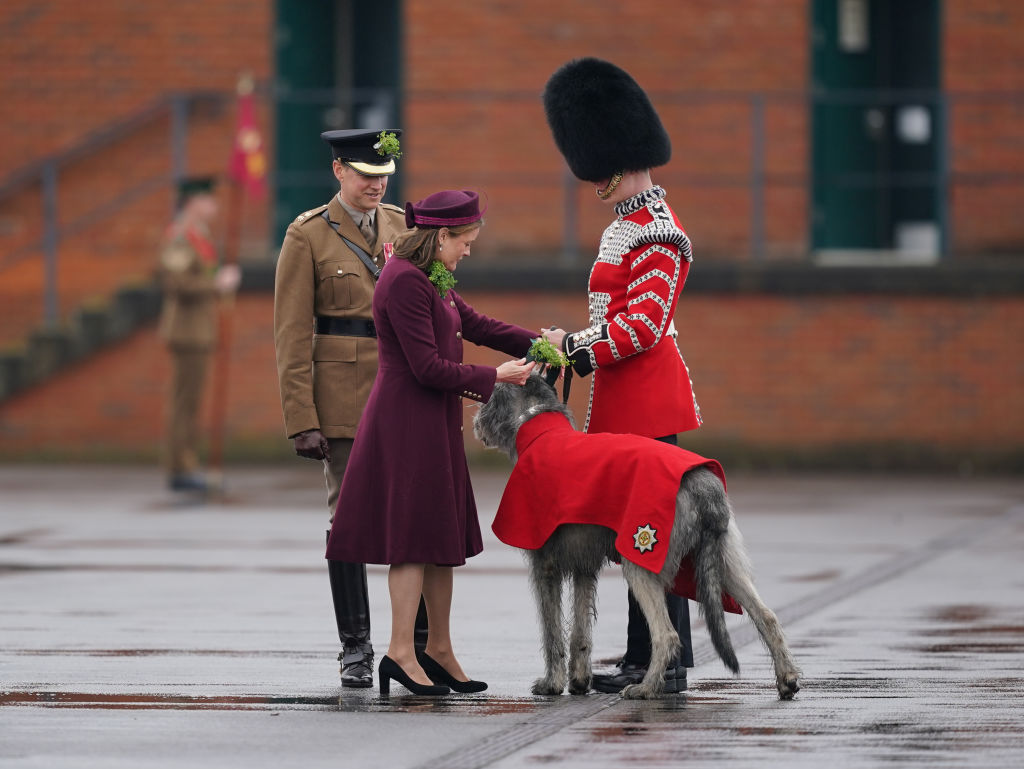 In Kate's place, Lady Ghika presented the Irish Guards’ mascot Seamus the dog with a shamrock at Mons Barracks in Aldershot. Photo / Getty Images