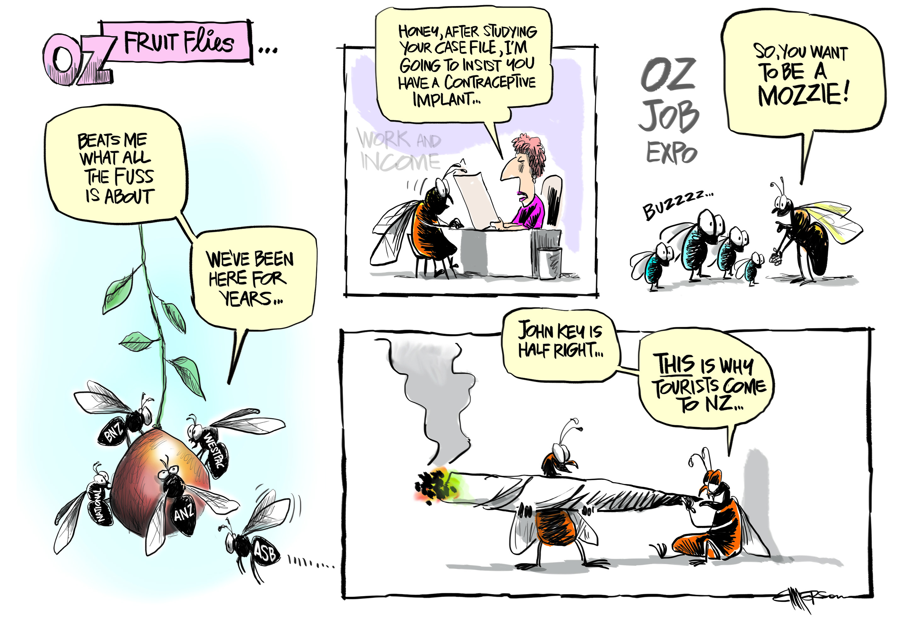 Cartoon: Oz fruit flies... - New Zealand News - NZ Herald
