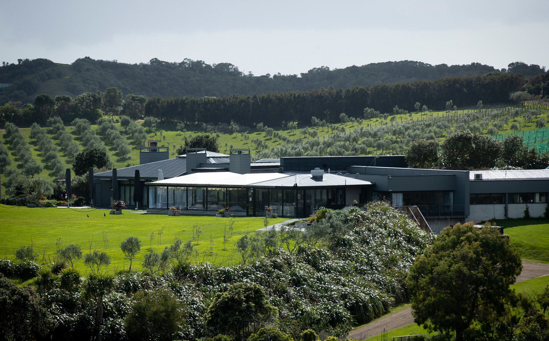 Cable Bay Vineyards has been the subject of more than 60 noise complaints to Auckland Council since 2012. Photo / Dean Purcell