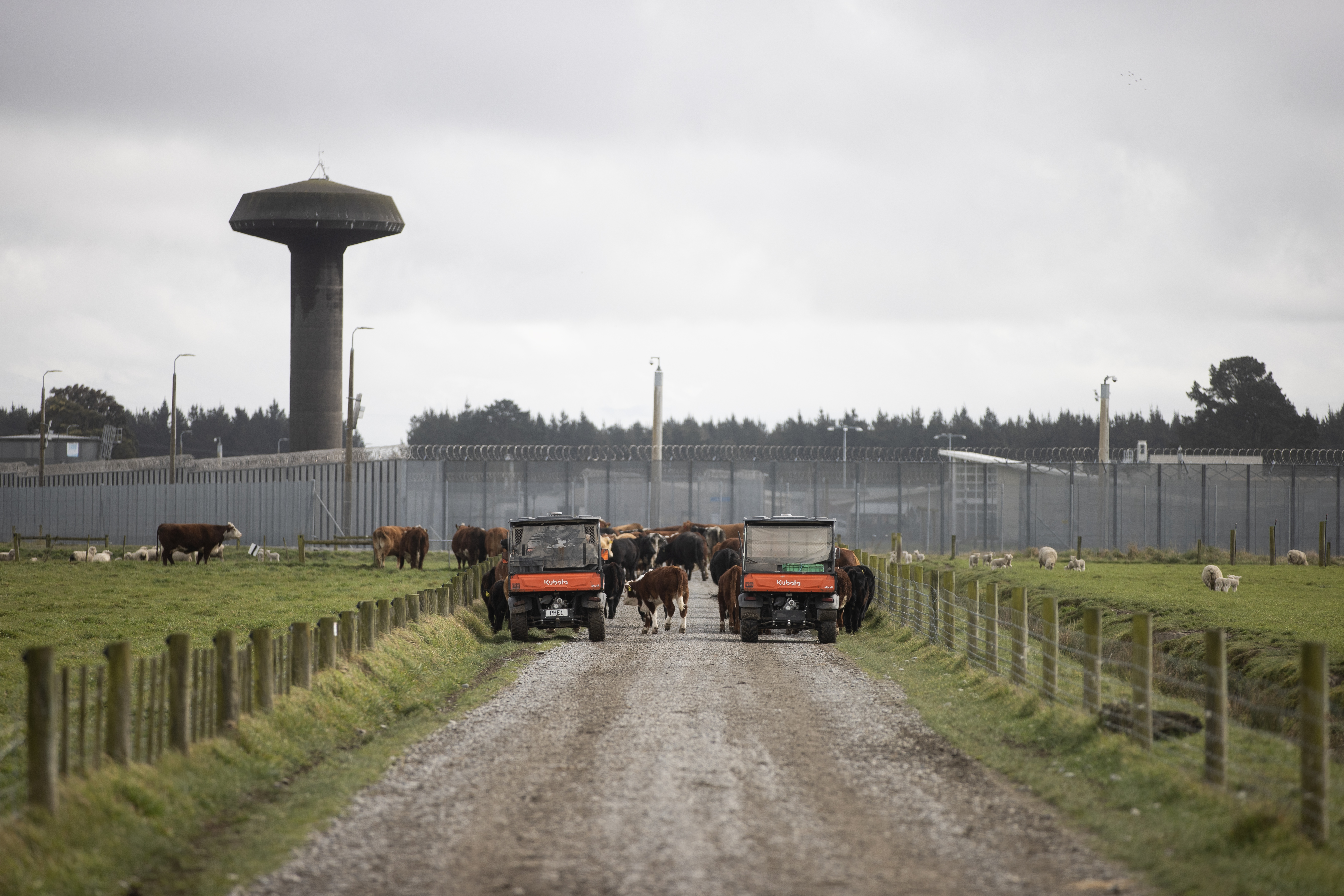 Christchurch Men's Prison, where the bird deterrent system is being used. Photo / George Heard
