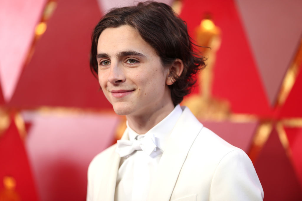  Timothee Chalamet was nominated for best actor at the 2018 Oscars for his role in Call Me By Your Name. Photo / Getty Images