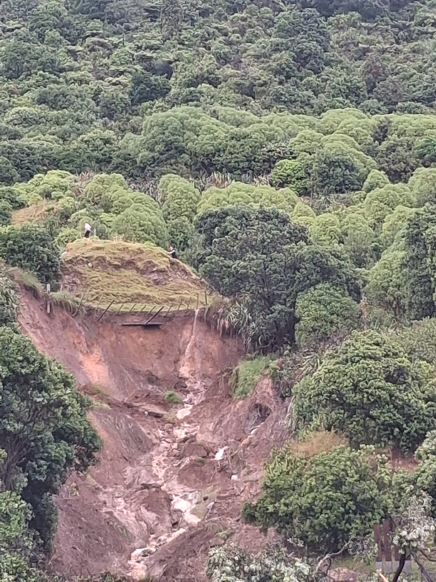 A new photo shows walkers above a Mt Maunganui slip – nearly two hours after a local called 111 to report the danger. Photo / Alister McHardy