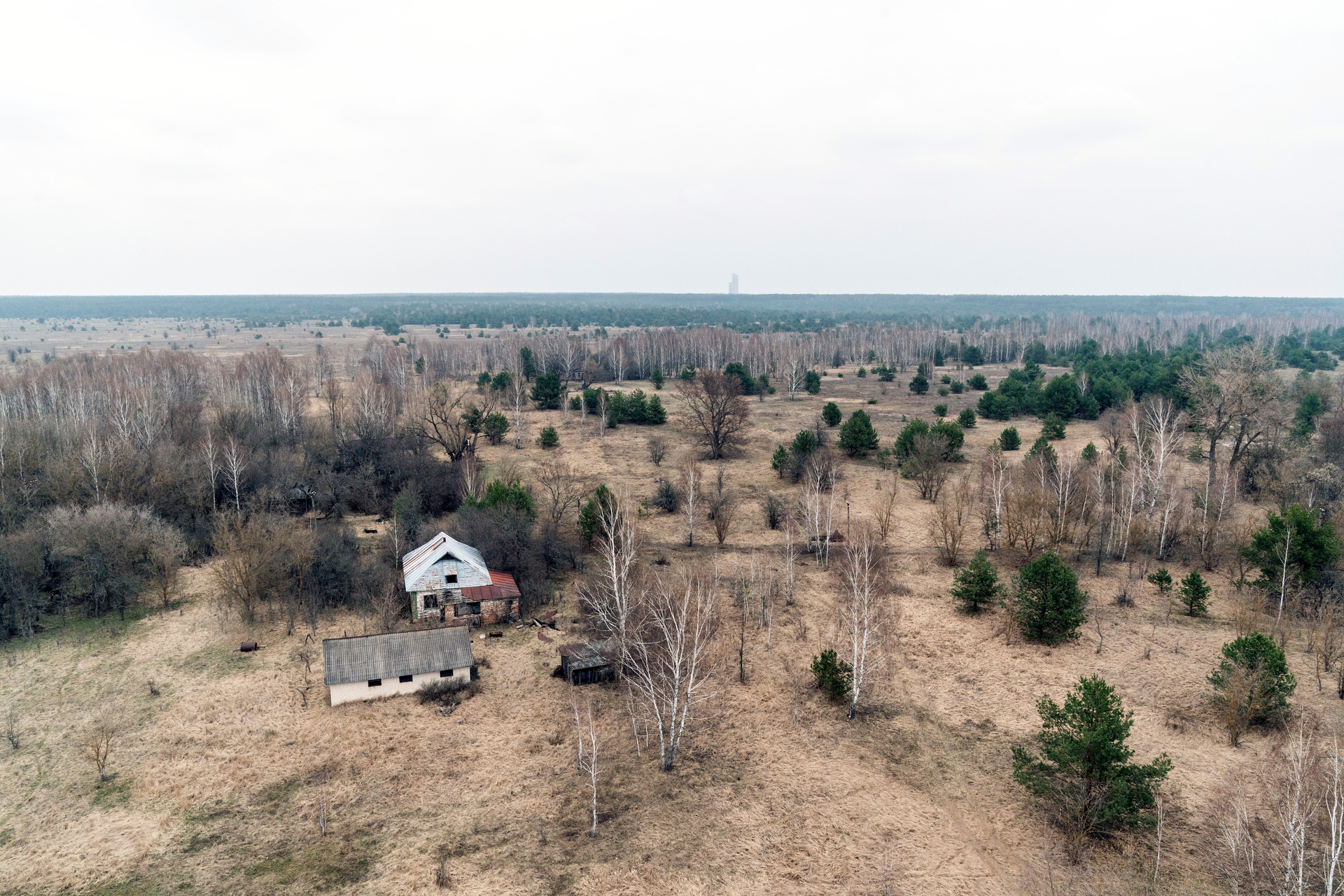An abandoned village house and outbuildings are seen at the Chernobyl exclusion zone. Photo / AP