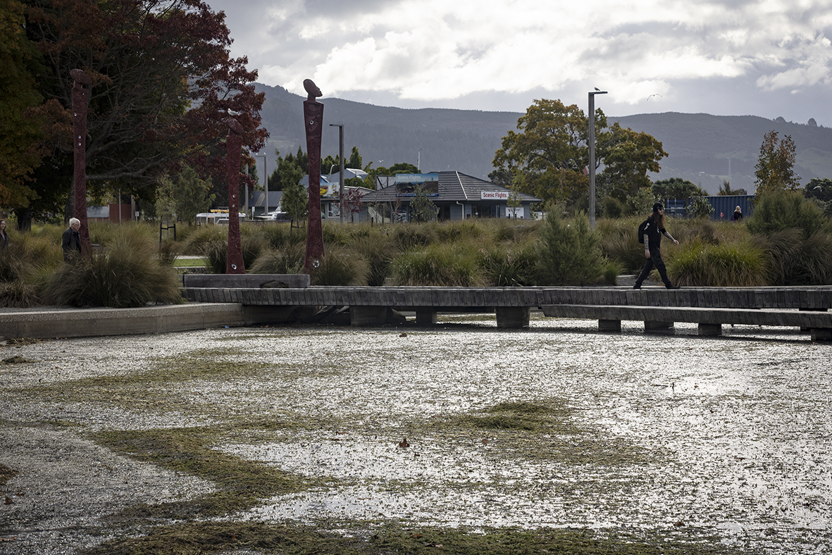The mass of washed-up lake weed at the Rotorua lakefront has been creating a stench. Photo / Andrew Warner