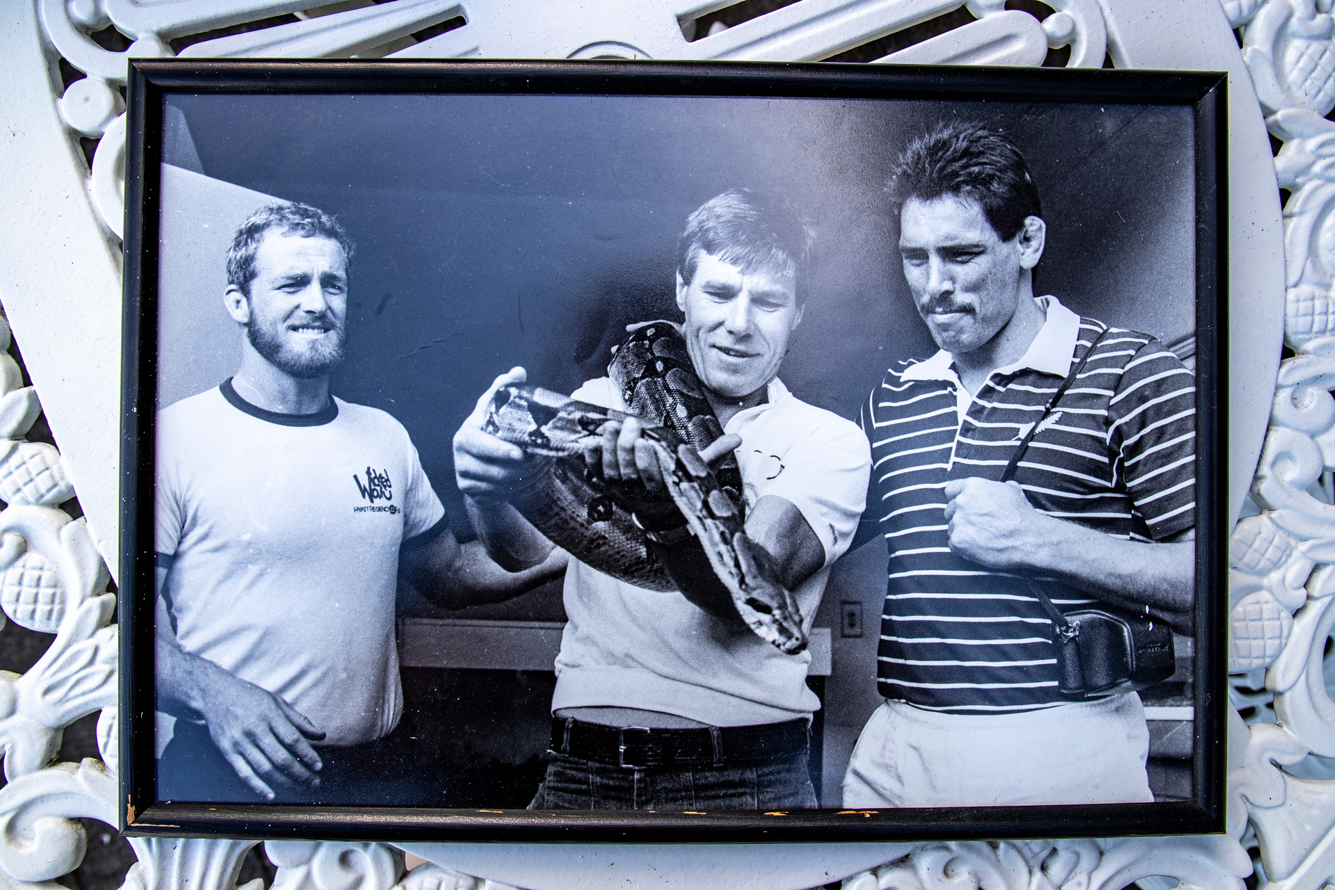 A snake keeps John Mills, left, Malcolm Hood and Buck Shelford company during the Cavaliers tour in South Africa. Malcolm Hood collection