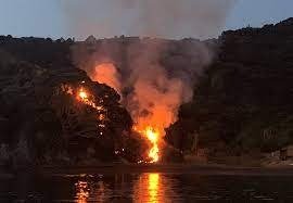 The Bay of Islands dodged and ecological disaster after fireworks sparked blaze near Moturua in 2019.