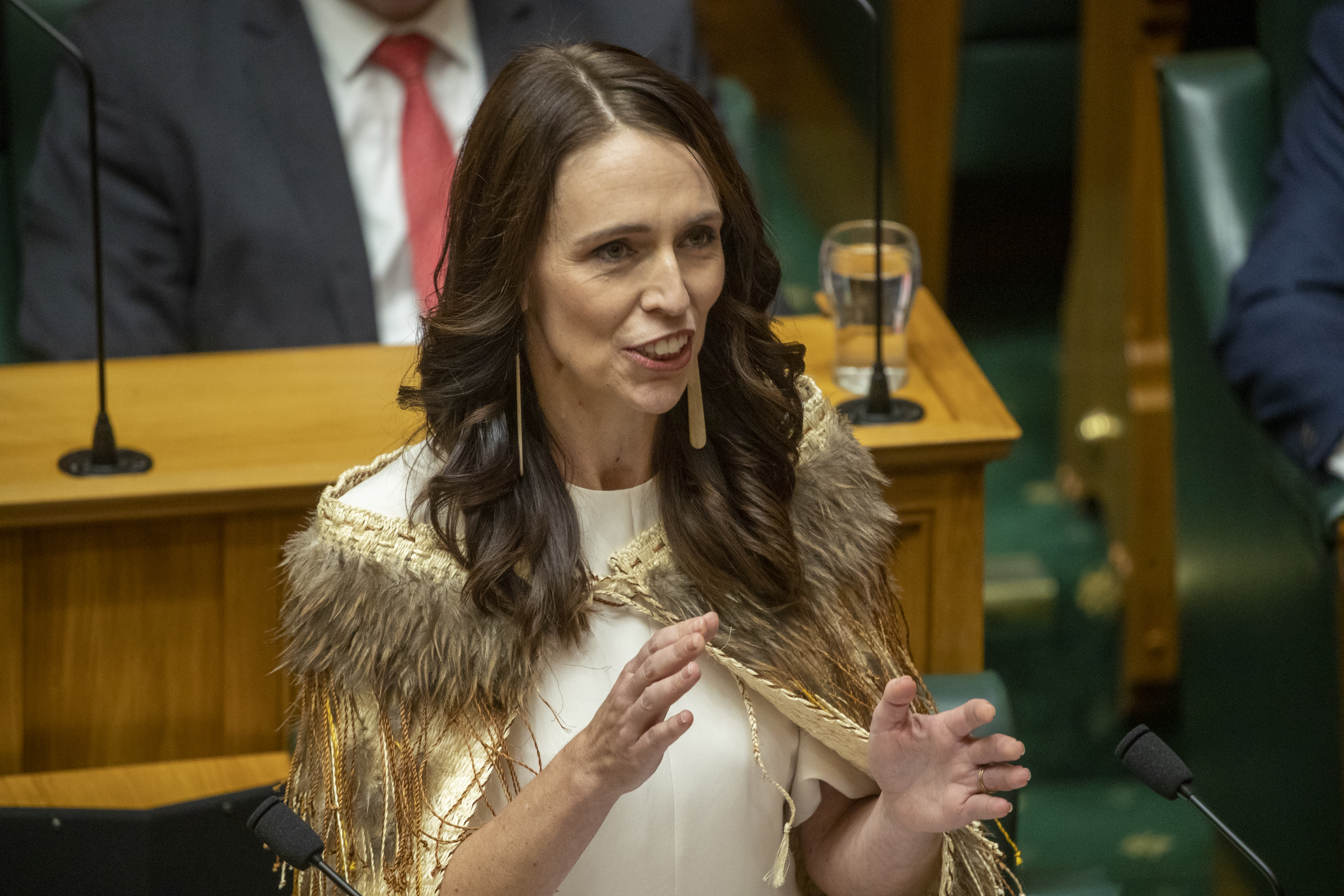 Former Prime Minister Jacinda Ardern giving her valedictory speech in Parliament on April 5. Photo / Mark Mitchell
