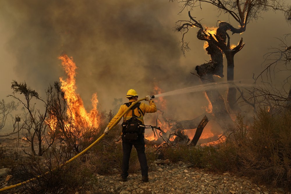 Jesse Vasquez, of the San Bernardino County Fire Department, hoses down hot spots from the Bobcat Fire. Photo / AP