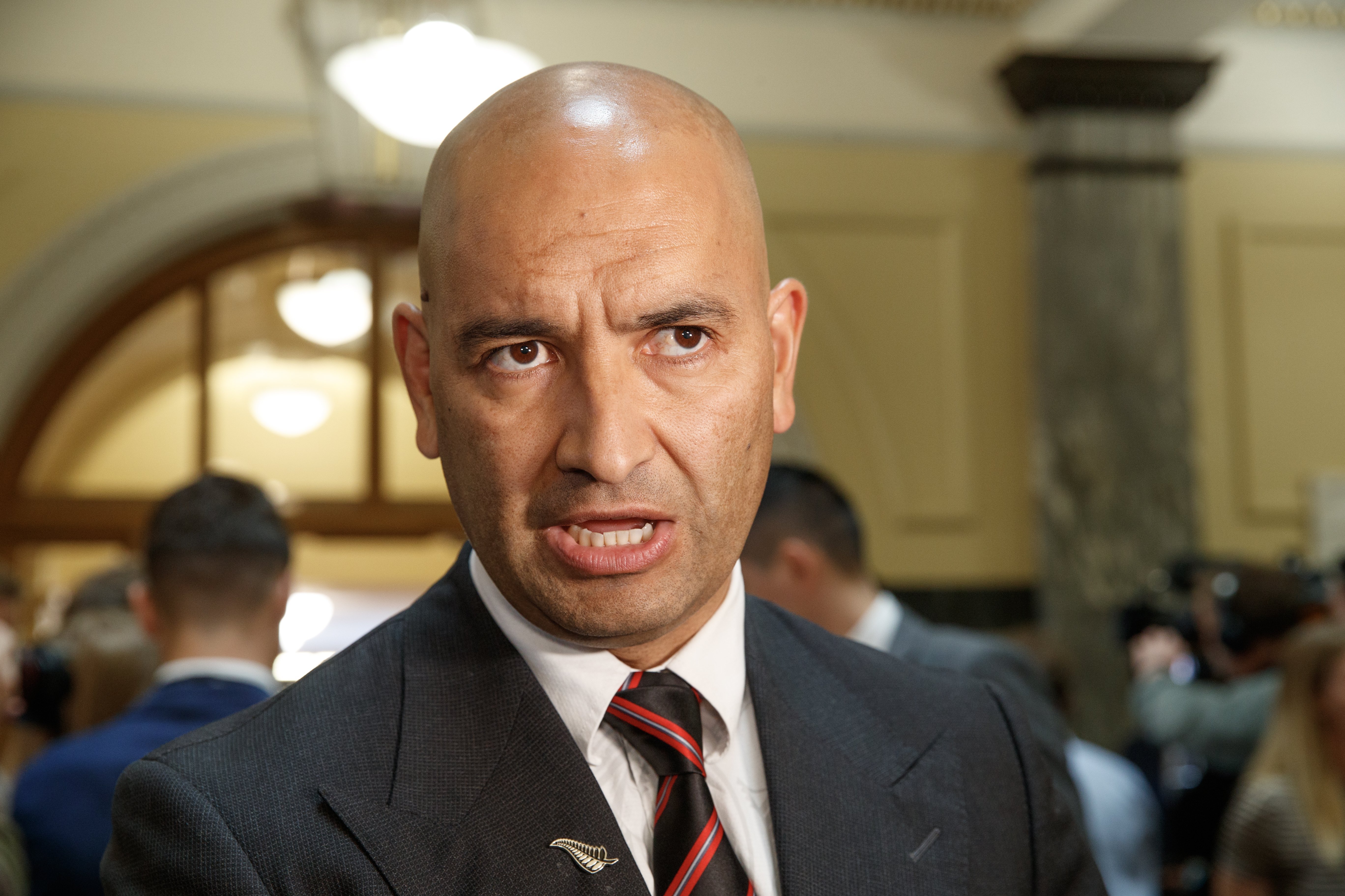 Associate Housing Minister Tama Potaka.