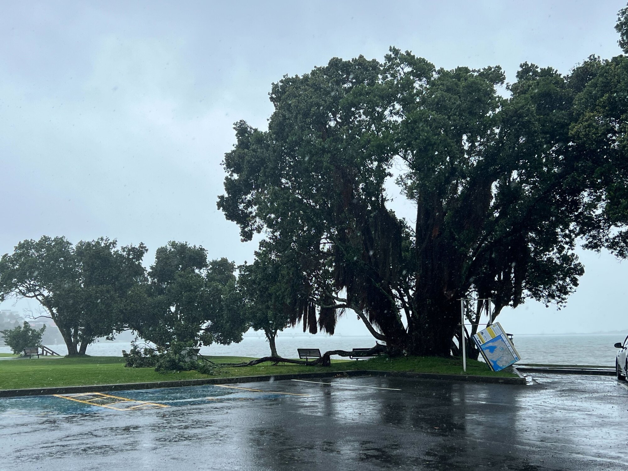 Rain is expected to fall in Tauranga until around 9am tomorrow. Photo / Kaitlyn Morrell