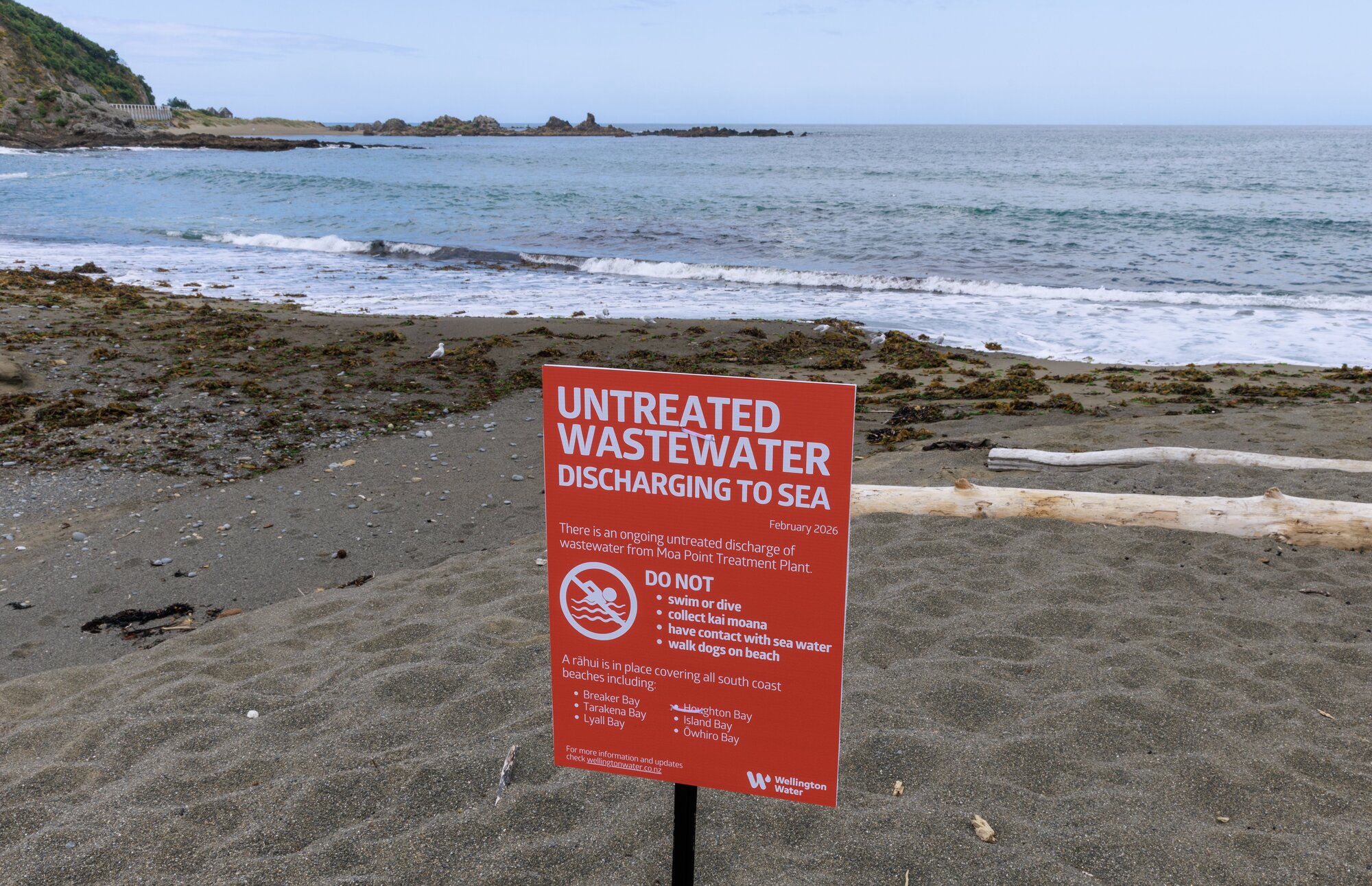 Signs currently warn of sewage pollution on the South Coast as a result of the Moa Point Wastewater Treatment Plant failure, but swimmers may soon be allowed back at their own risk. Photo / Mark Mitchell