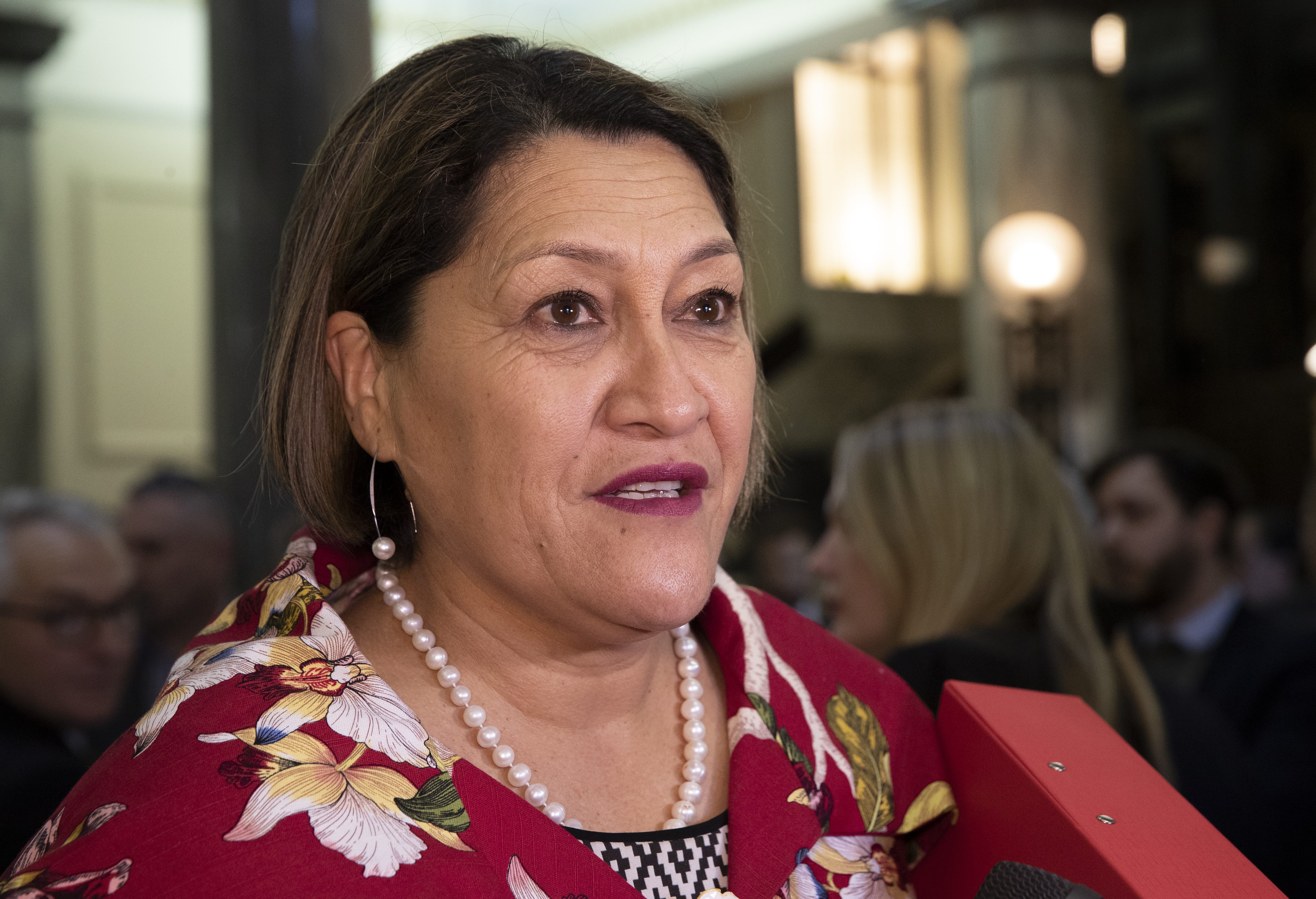 Labour Minister and MP for Ikaroa-Rawhiti Meka Whaitiri. Photo / Mark Mitchell