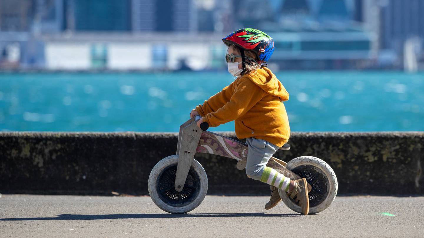 Wellington City Council is proposing to build a 147km network of safer bike routes. Photo / Mark Mitchell 