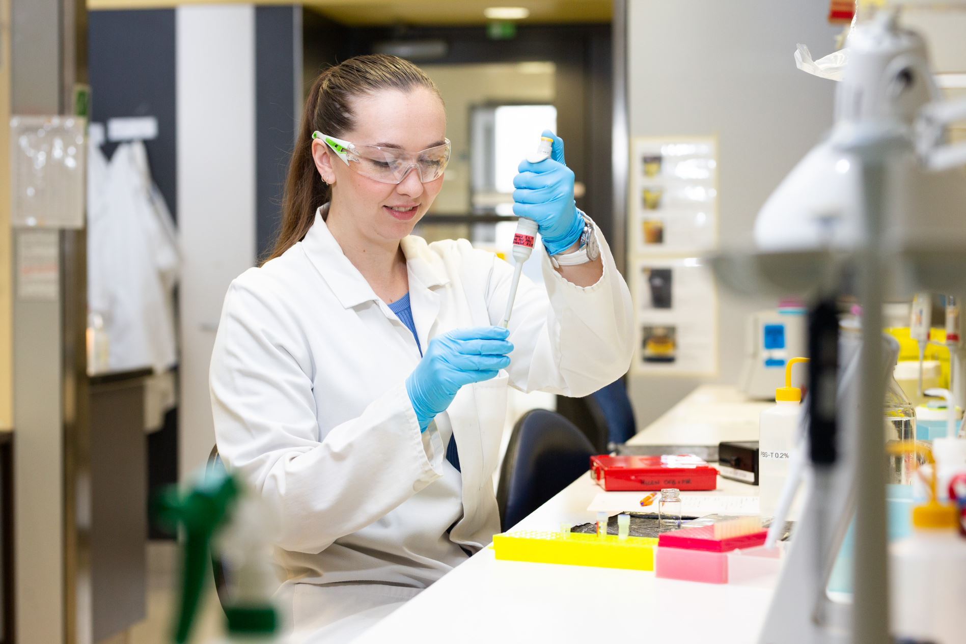 Based at the Centre for Brain Research, Murray's research into damage caused by head knocks in contact sports, using post-mortem brain tissue, is giving hope to future generations. Photo / Supplied