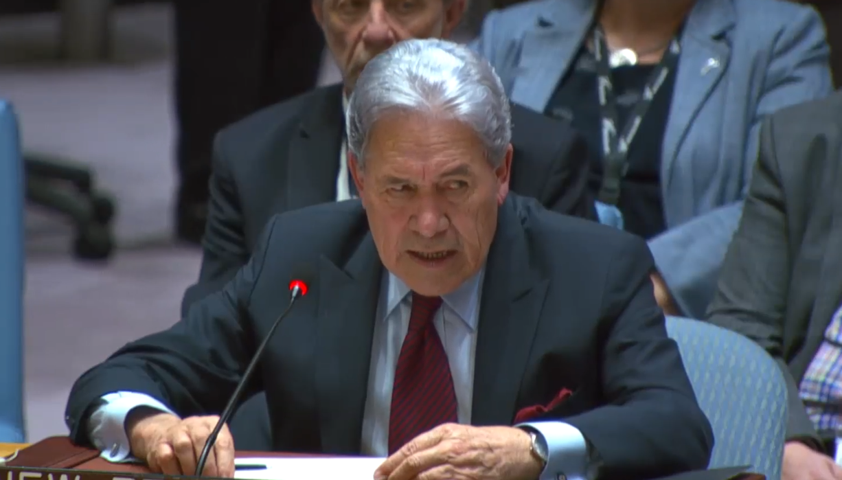 Winston Peters addresses the UN Security Council.
