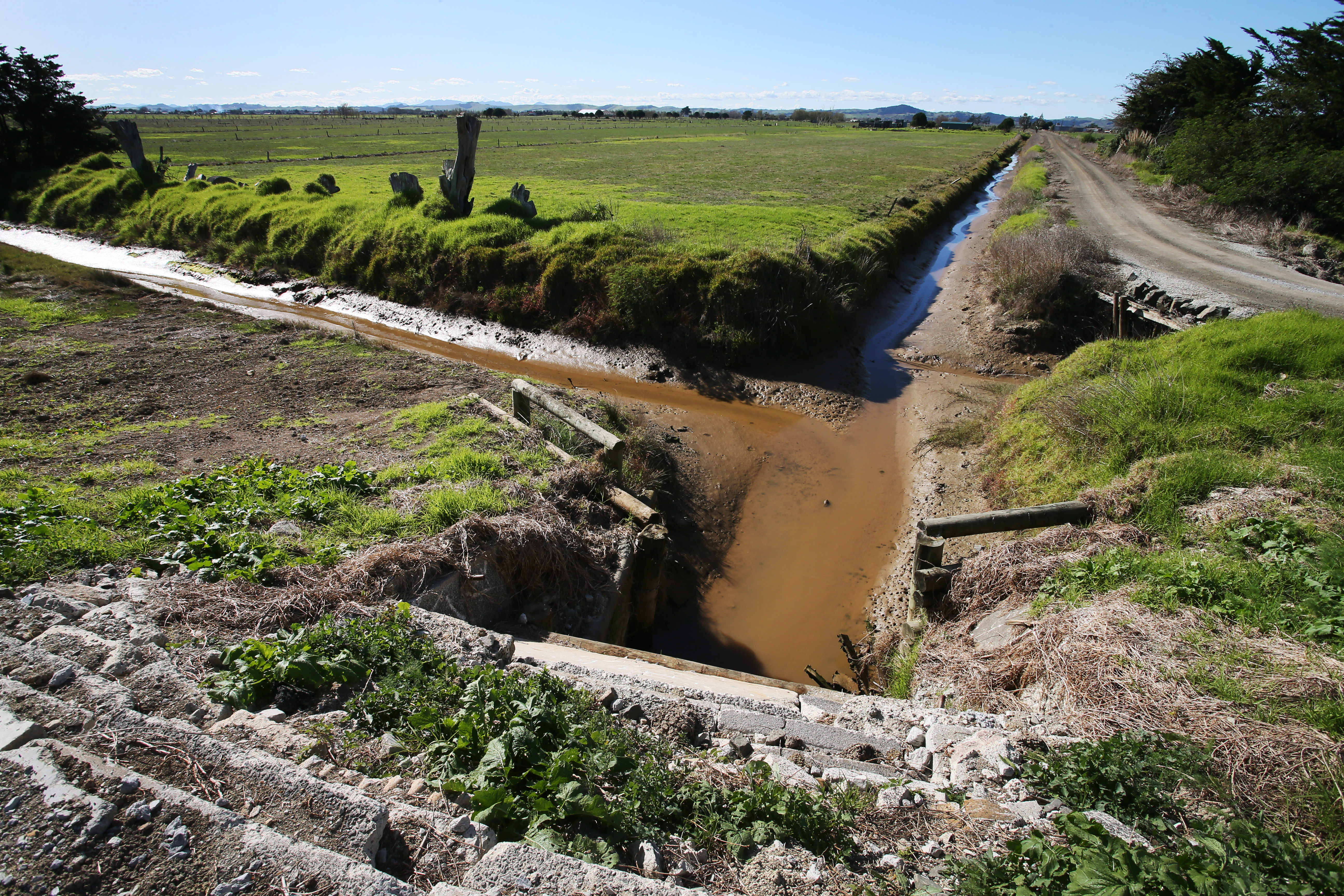 Part of the Raupo Drainage Scheme in Ruawai, that is due to get a new $4.6 million floodgate. Photo / Tania Whyte