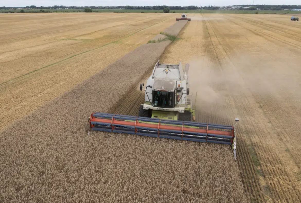 Harvesters collect wheat in the village of Zghurivka, Ukraine. Photo / AP