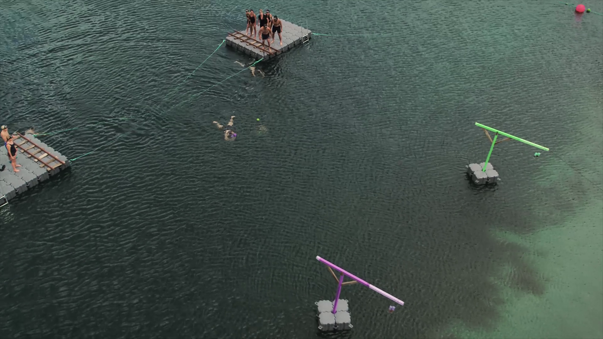 Swim, swim, swim, tree, tree, tree. Photo / TVNZ