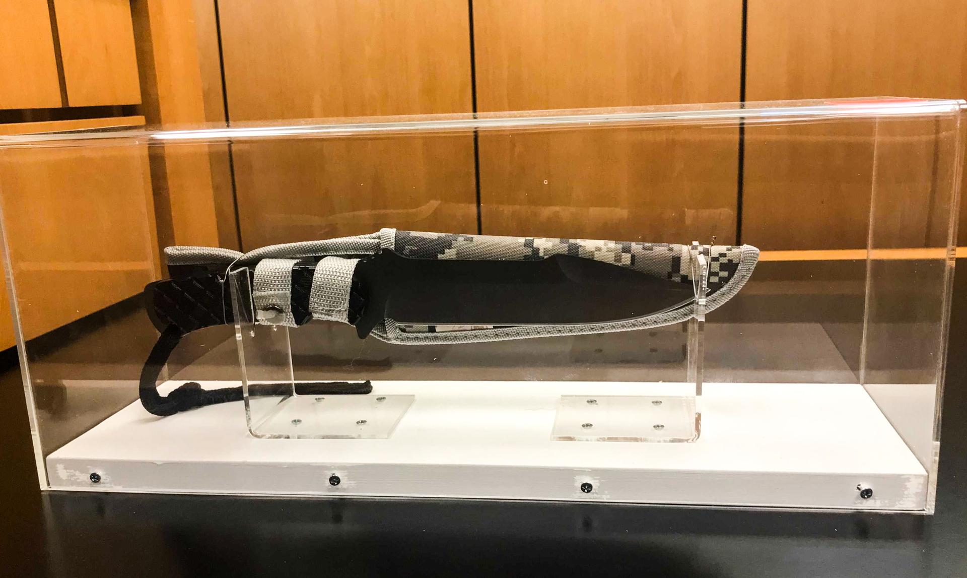 The hunting knife purchased by S was presented as evidence in the trial earlier this year. Photo / Sam Hurley