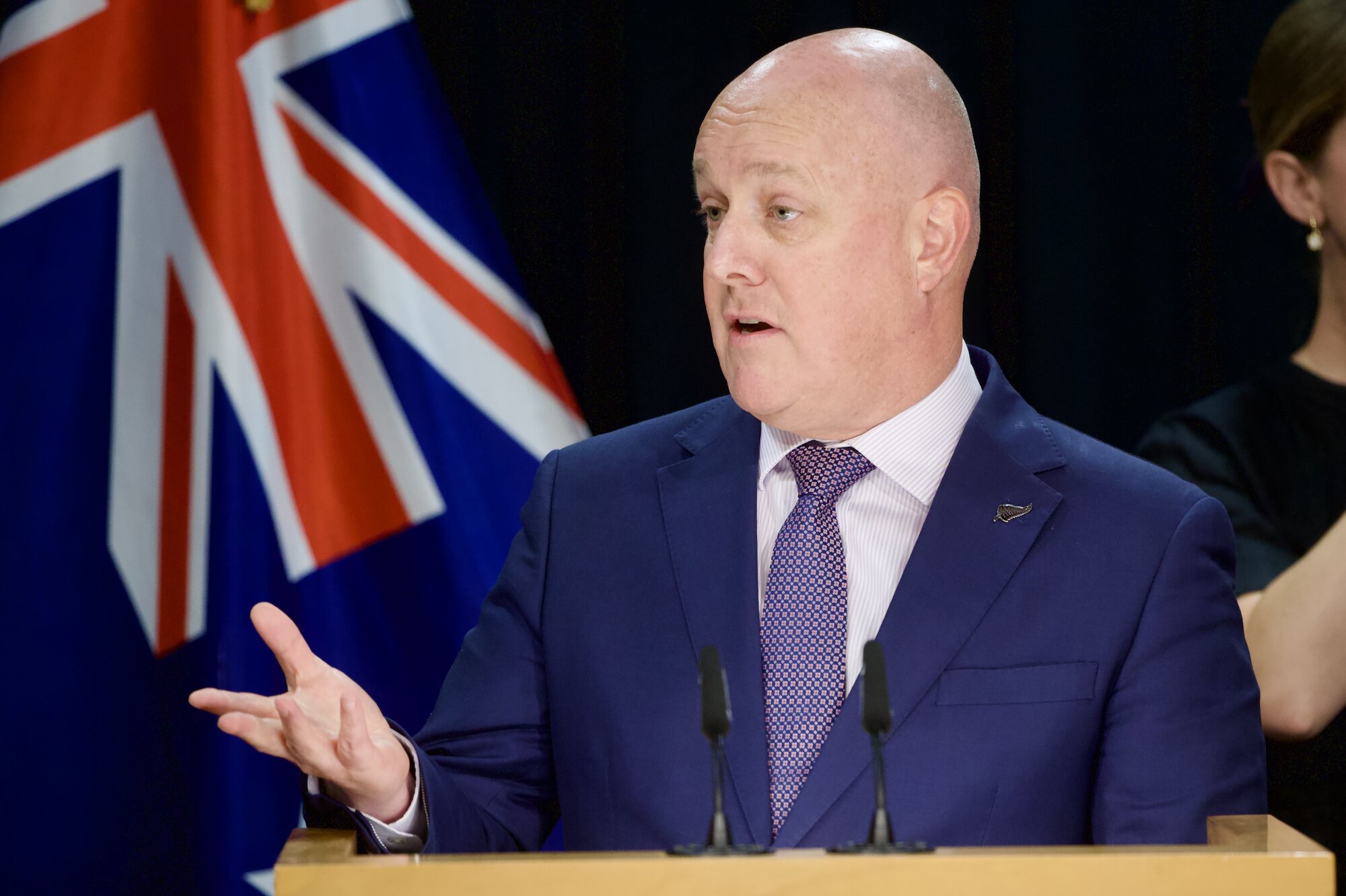 Prime Minister Christopher Luxon. Photo / Mark Mitchell