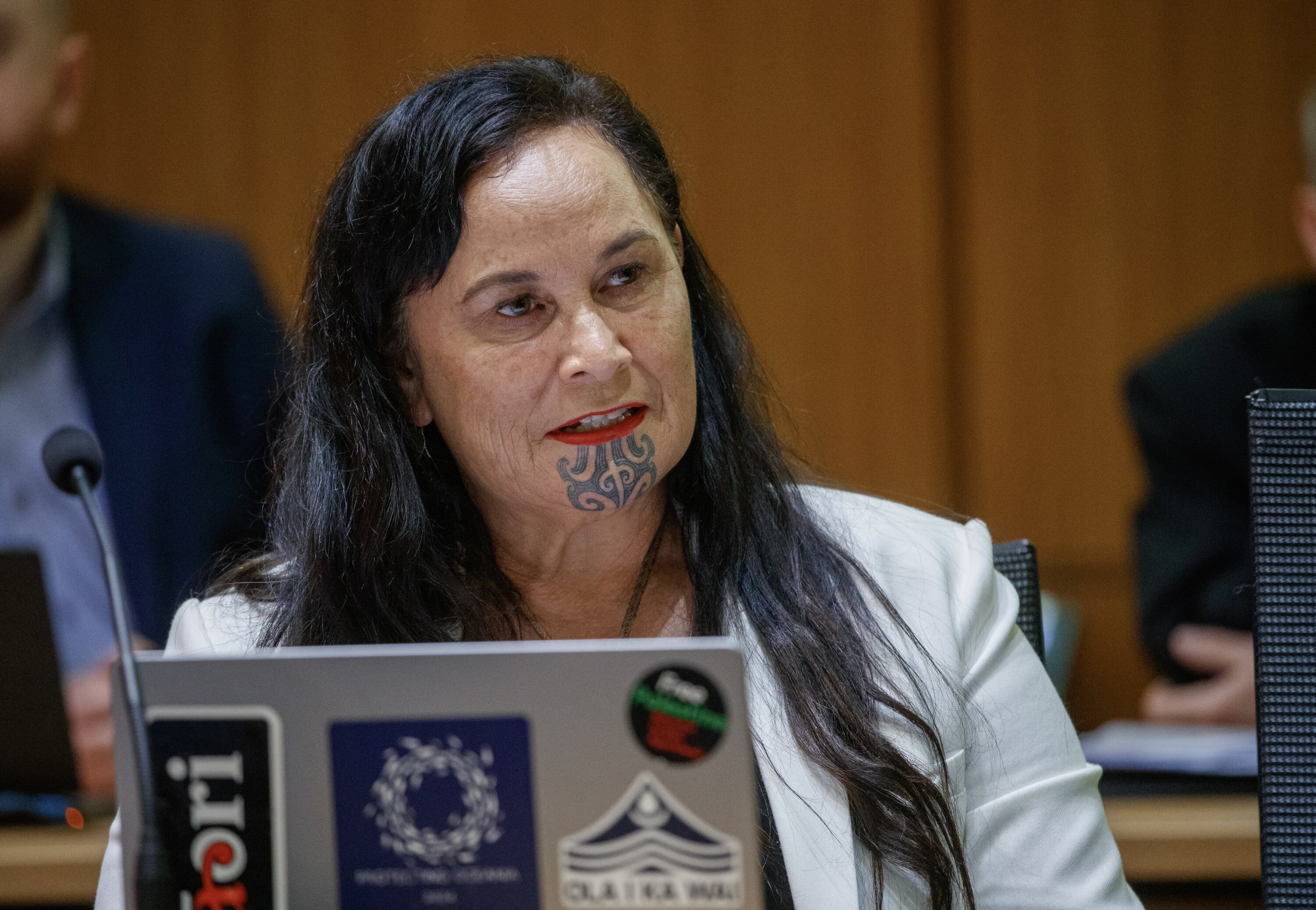 Te Pāti Māori co-leader Debbie Ngarewa-Packer wants the select committee to re-evaluate its submission criteria. Photo / Mark Mitchell