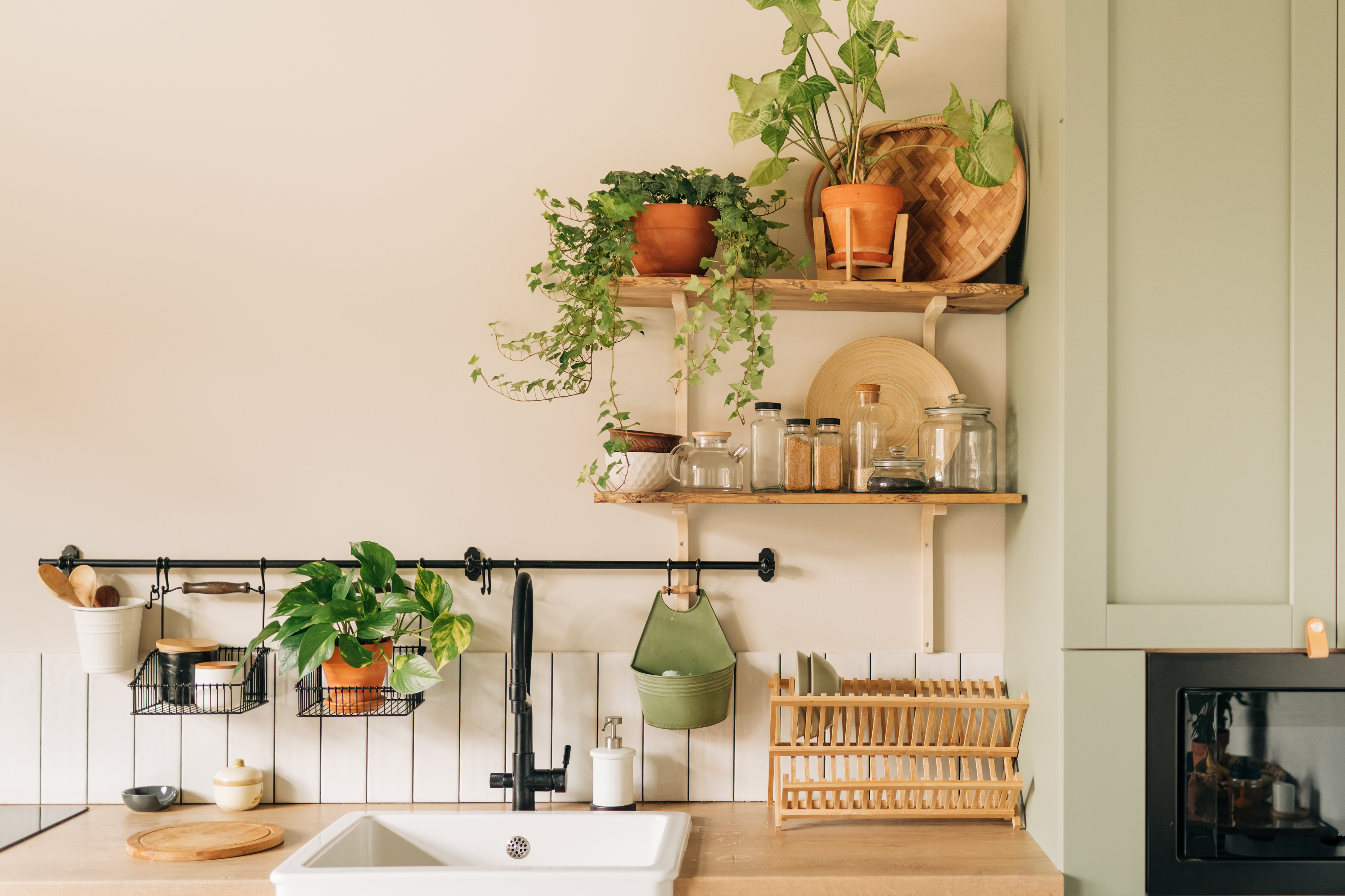 Houseplants can improve air quality by removing toxins. Photo / Getty Images