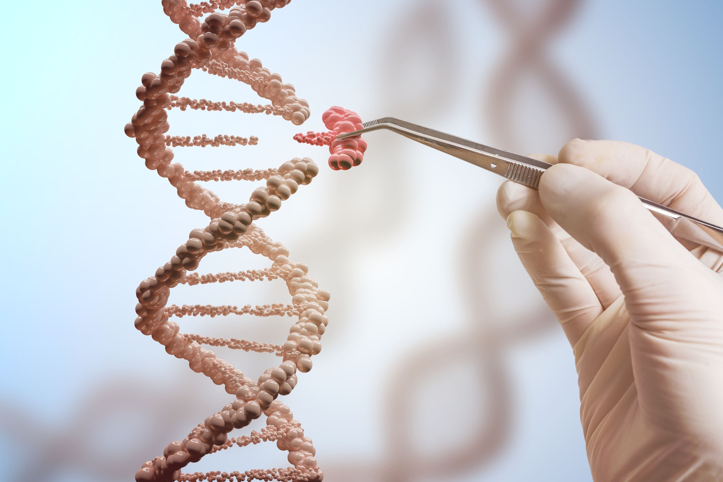 A new move to tweak rules around genetically modified organisms has been welcomed as a “first step” by the country’s top scientist, who hopes to see further reform in the tightly regulated space. Photo / 123rf