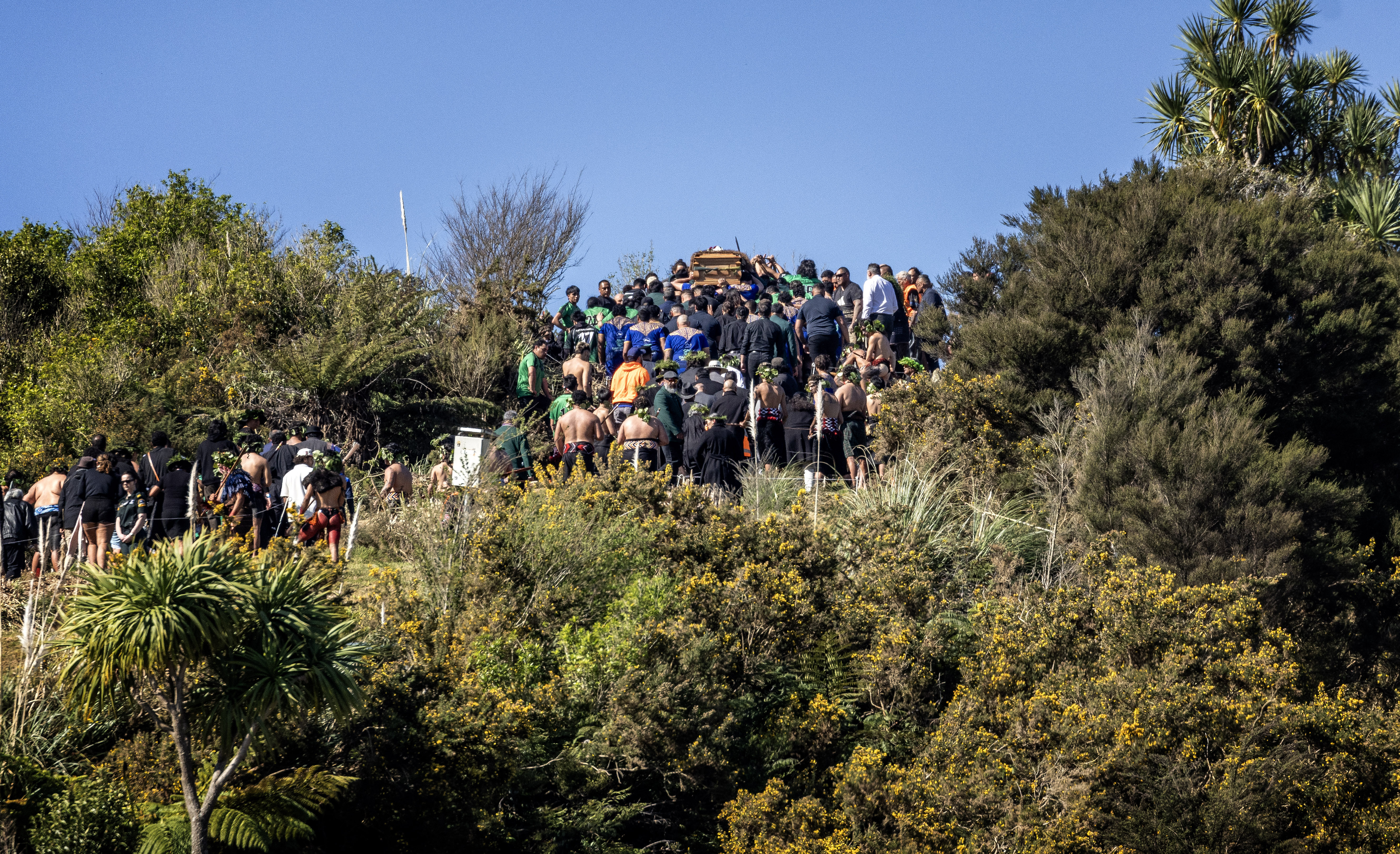 Thousands attended te rā nehu (burial day) for the Kīngi Tūheitia. Photo / Mike Scott